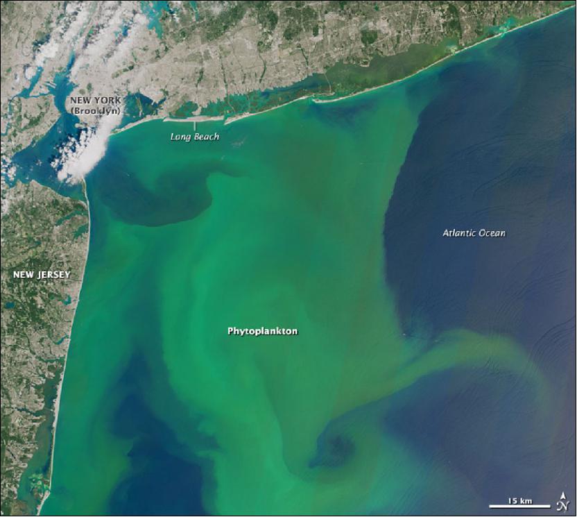 Figure 86: A vast, seemingly benign bloom of phytoplankton gave the Atlantic Ocean a chalky green color on August 3, 2015. The OLI (Operational Land Imager) on the Landsat-8 satellite observed the scene off the coast of New Jersey and New York, in an area referred to by oceanographers and geologists as the New York Bight (image credit: NASA Earth Observatory)