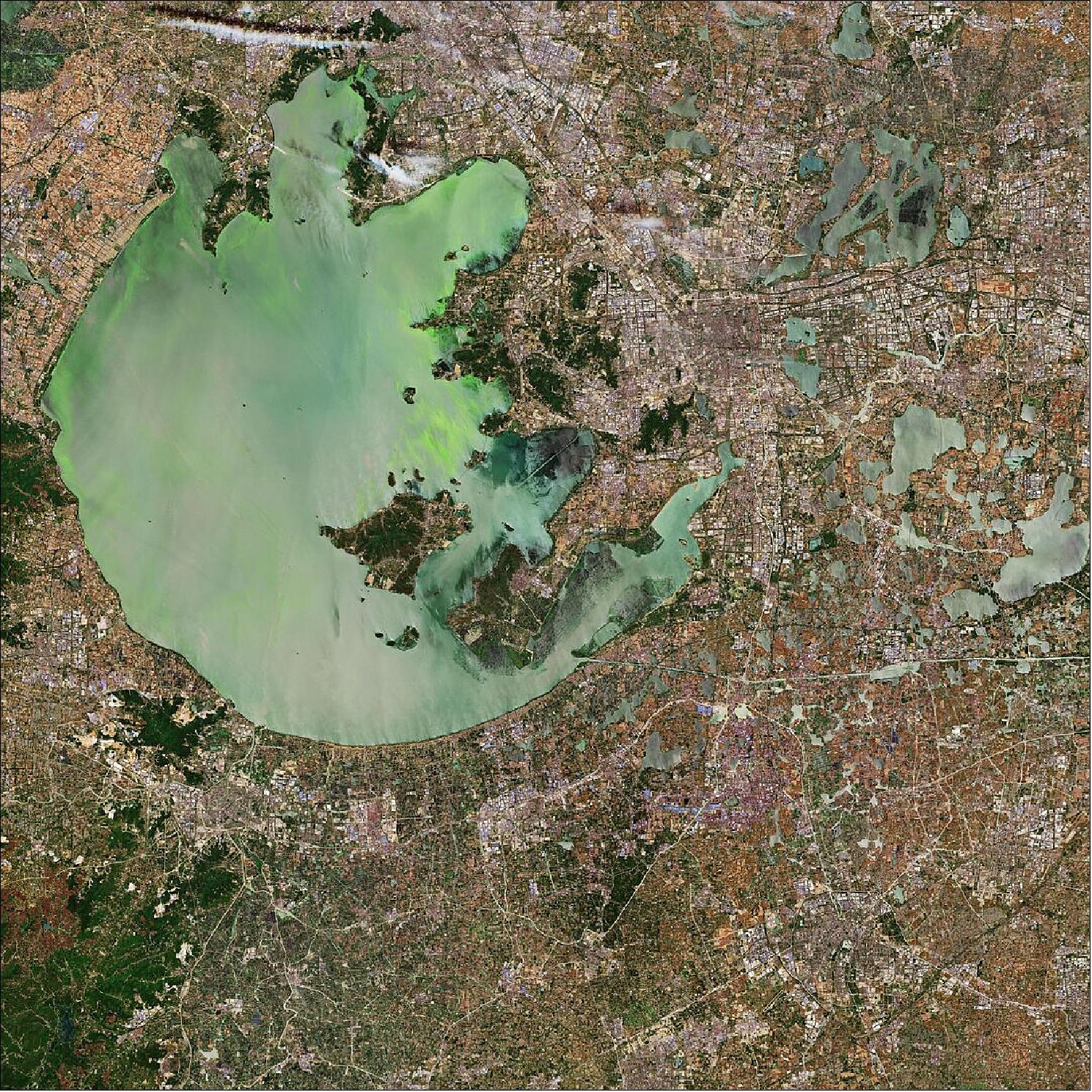 Figure 7: This Sentinel-2 image was captured on 24 May 2019, the algae-infested waters are clearly visible. The image is also featured on the Earth from Space video program (image credit: ESA, the image contains modified Copernicus Sentinel data (2019), processed by ESA, CC BY-SA 3.0 IGO)