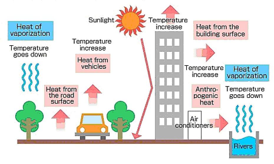 Figure 2: How the Heat Island Phenomenon occurs (image credit: ASU)