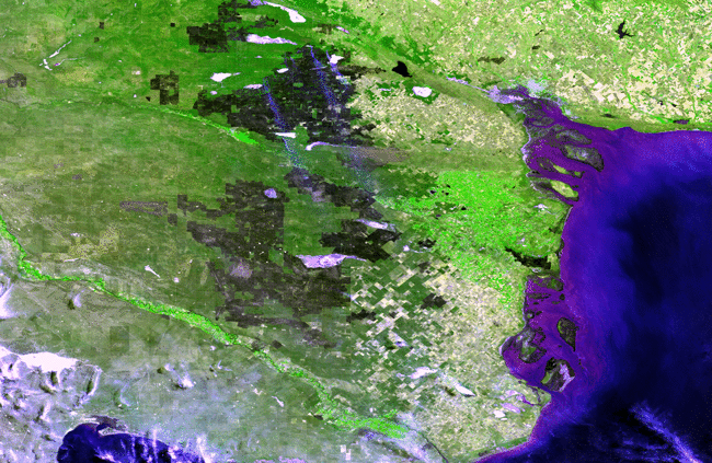 Figure 23: Recovering burn scars in Argentina. This animated pair of Proba-V images shows the pampas recovering from these wildfires. The first 100-m resolution image, acquired on 6 January 2017 shows burnt areas as brown/blackish patches, with some wildfire smoke plumes visible in blue. The second image, from 24 July 2017, reveals the recovery of these grasslands. The greenish corridor below the recovering burn scars is farmland in the vicinity of the winding Rio Negro river itself (image credit: ESA/Belspo – produced by VITO)
