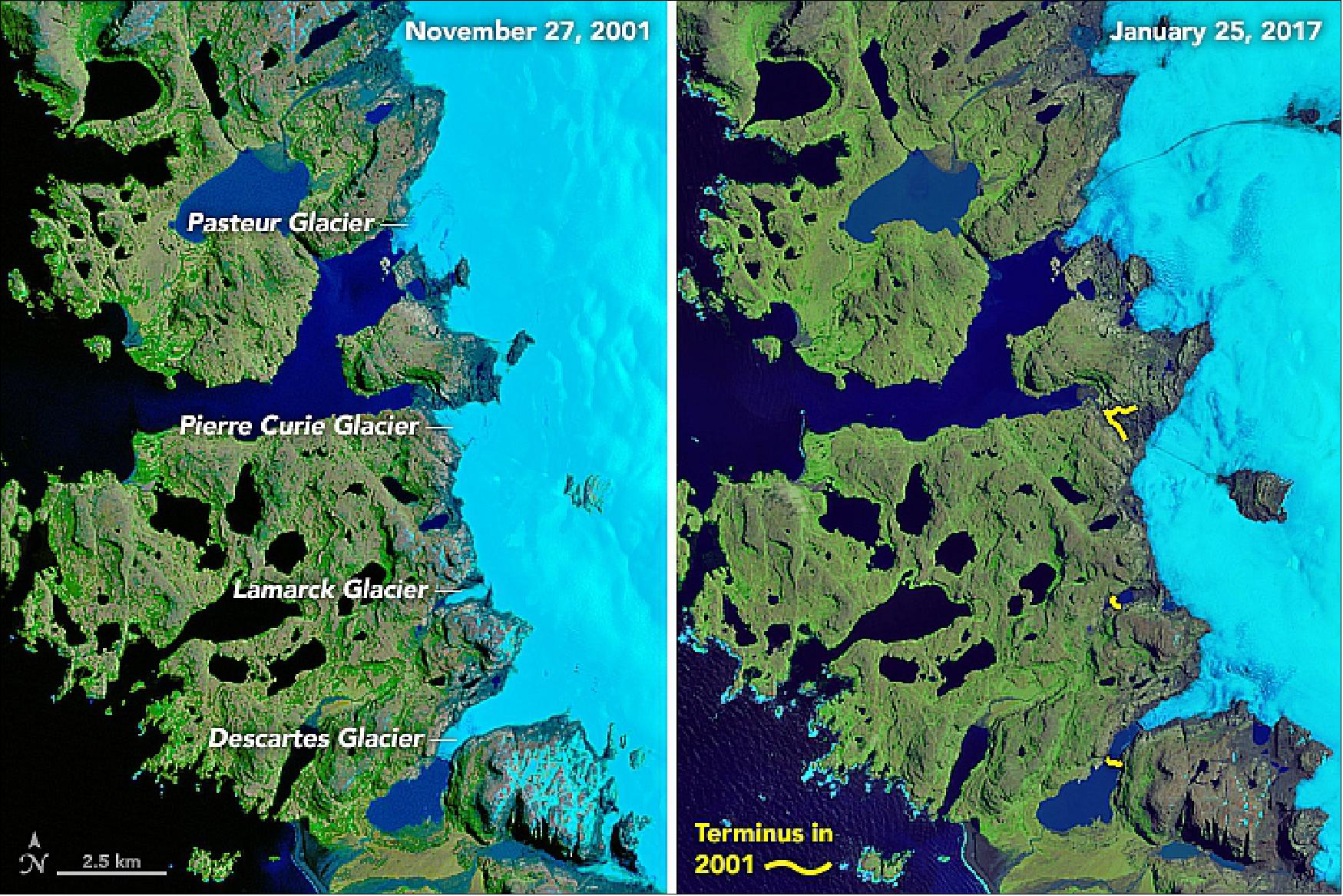 Figure 28: On January 25, 2017, OLI on Landsat-8 got a rare, clear look at the islands (right image) and the western side of the Cook Ice Cap. The left image, acquired with the Enhanced Thematic Mapper Plus (ETM+) on the Landsat-7 satellite, shows the same area on November 27, 2001. Both images are false-color (OLI bands 6-5-3 and ETM+ bands 5-4-2—shortwave infrared, near-infrared, and green light) to better show detail in the icy area (image credit: NASA Earth Observatory, images by Joshua Stevens, using Landsat data from the U.S. Geological Survey, story by Kathryn Hansen)