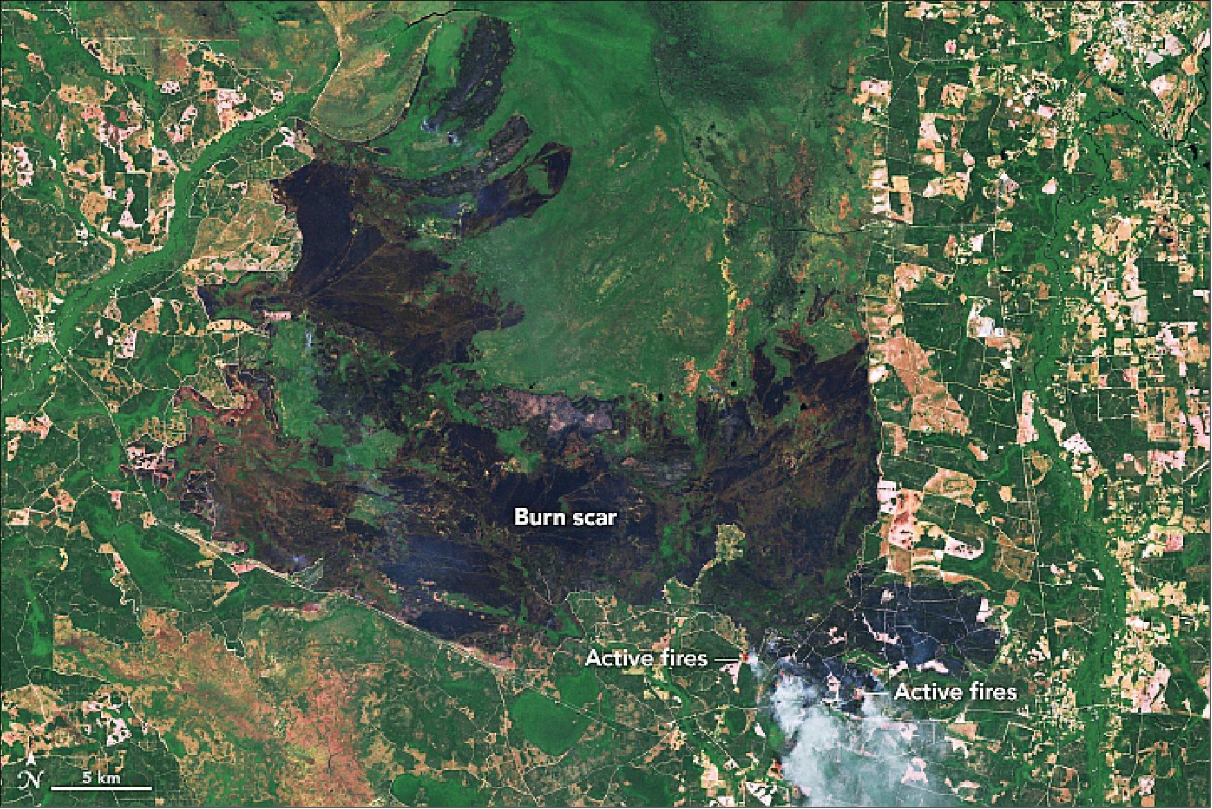 Figure 34: The composite image of ETM+ of Landsat-7 combines natural color and infrared data. The brown burn scar is clearly visible amid the refuge’s green vegetation. Thermal data show the locations of active fires. Most actively burning areas in this image appear outside of the refuge, near Highway 94 and west of Saint George, Georgia (image credit: NASA Earth Observatory, image by Joshua Stevens, using Landsat data from the USGS)