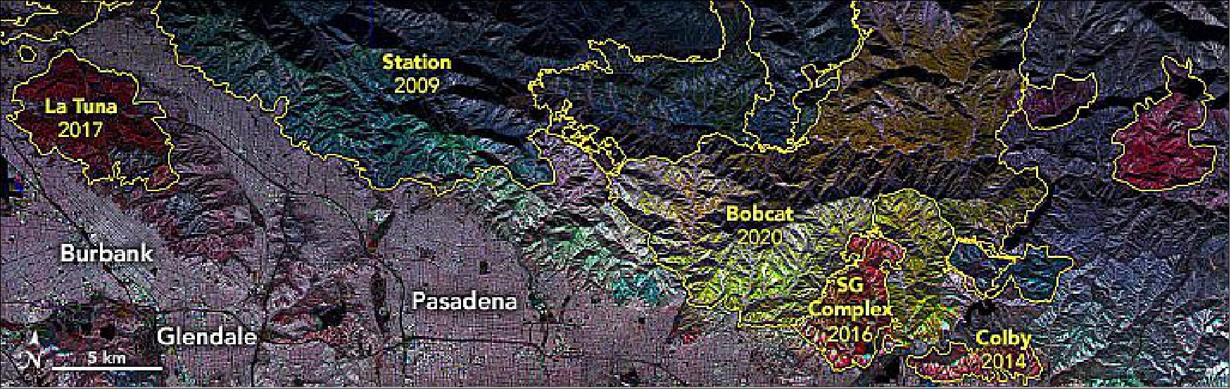 Figure 4: Scientists are using radar data to decipher where and how well landscapes recover in the years after major fires. Mounted on the bottom of NASA research planes, UAVSAR has been flown over the same portions of Southern California several times since 2009. Pinto and JPL colleagues Latha Baskaran, Yunling Lou, and David Schimel analyzed that data and developed a mapping technique to show the different stages of removal and regrowth of vegetation (chapparal and forest). [image credit: NASA Earth Observatory images by Joshua Stevens, using UAVSAR data and imagery courtesy of Anne Marie Peacock, Naiara Pinto, and Yunling Lou and NASA/Caltech UAVSAR. Story by Michael Carlowicz]