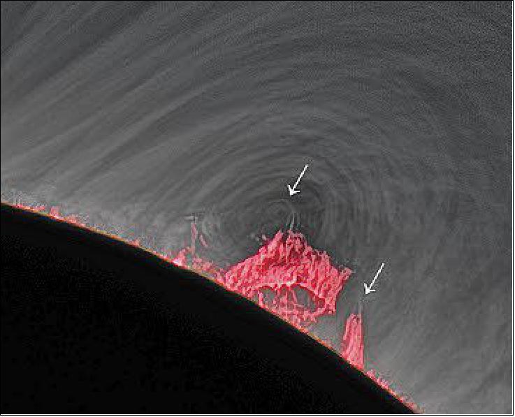 Figure 7: A close-up view of a prominence (the pinkish areas) – the coolest and most complex magnetic structure in the corona. Prominences are directly linked to overlying hot arches (the grey loops) in the corona. Their dynamics drive the variable solar wind and eruptions called coronal mass ejections. Prominences are also thought to be directly linked to regional temperature changes in the corona throughout a solar cycle, as they increase with solar activity (image credits: Habbal et al. 2021)