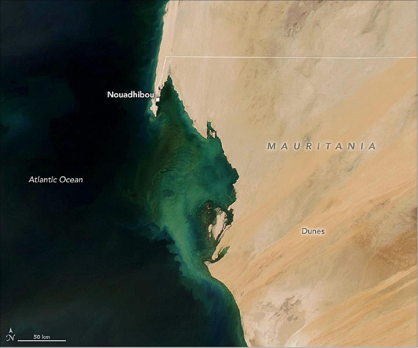 Figure 79: The MODIS instrument on NASA's Aqua satellite acquired this image of colorful surface waters off of Mauritania on May 5, 2020. Scrolling through satellite images of the area reveals that there is nothing particularly unique about the May 5 image; the tongue of green water is present constantly throughout the year (image credit: NASA Earth Observatory image by Lauren Dauphin, using MODIS data from NASA EOSDIS/LANCE and GIBS/Worldview. Story by Kathryn Hansen, with image interpretation by Oscar Romero and Gerhard Fischer/University of Bremen, and Violeta Sanjuan Calzado/NASA GSFC)