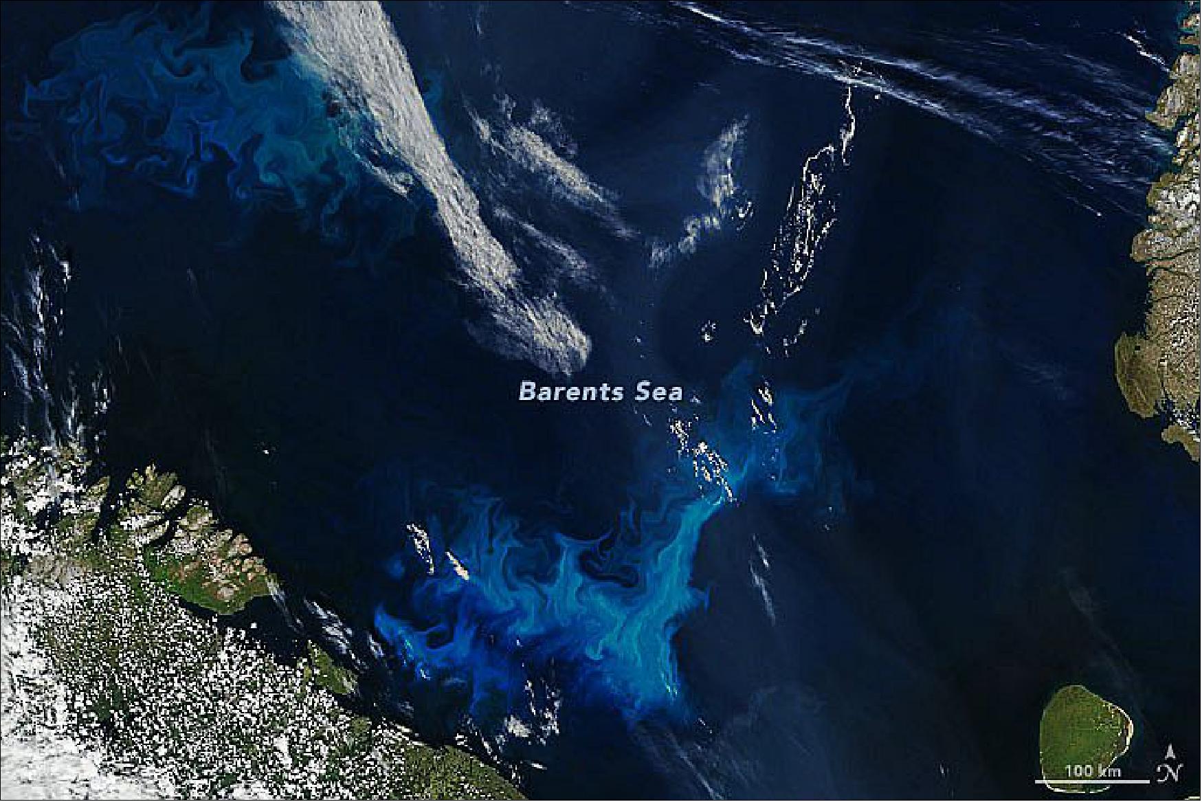 Figure 64: This image, acquired on July 26, 2020 with the Moderate Resolution Imaging Spectroradiometer (MODIS) on NASA's Terra and Aqua satellites, shows a bloom of phytoplankton in the Barents Sea, north of Scandinavia and Russia (image credit: NASA Earth Observatory, images by Joshua Stevens, using MODIS data from NASA EOSDIS/LANCE and GIBS/Worldview and data courtesy of Lewis, K. M., van Dijken, G. L., & Arrigo, K. R. (2020). Story by Kathryn Hansen)