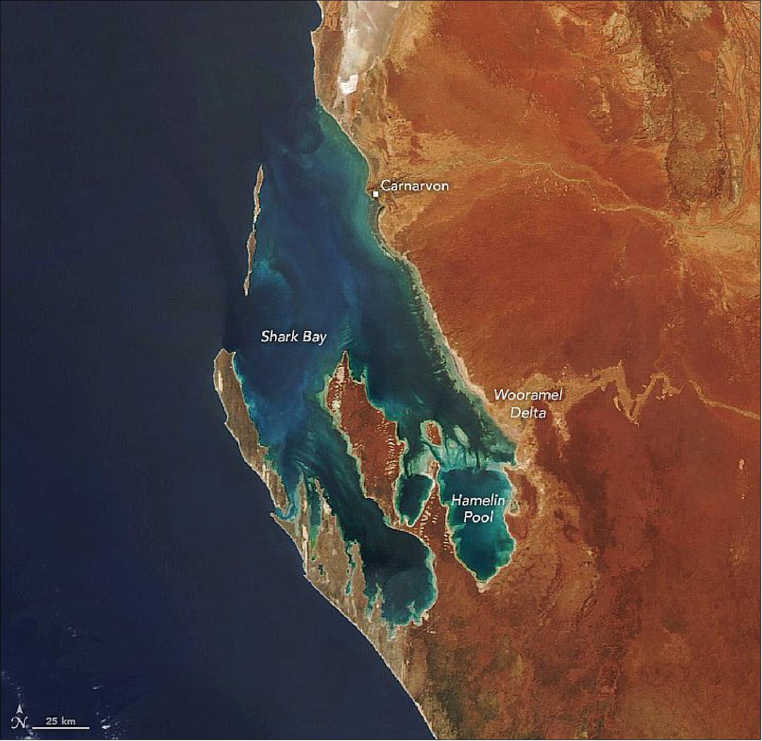 Figure 60: The MODIS instrument on NASA's Aqua satellite captured this natural-color image of the region on September 30, 2020. Shark Bay's waters, islands, and peninsulas cover more than 23,000 km2 (image credit: NASA Earth Observatory, image by Lauren Dauphin, using MODIS data from NASA EOSDIS/LANCE and GIBS/Worldview. Story by Kasha Patel)