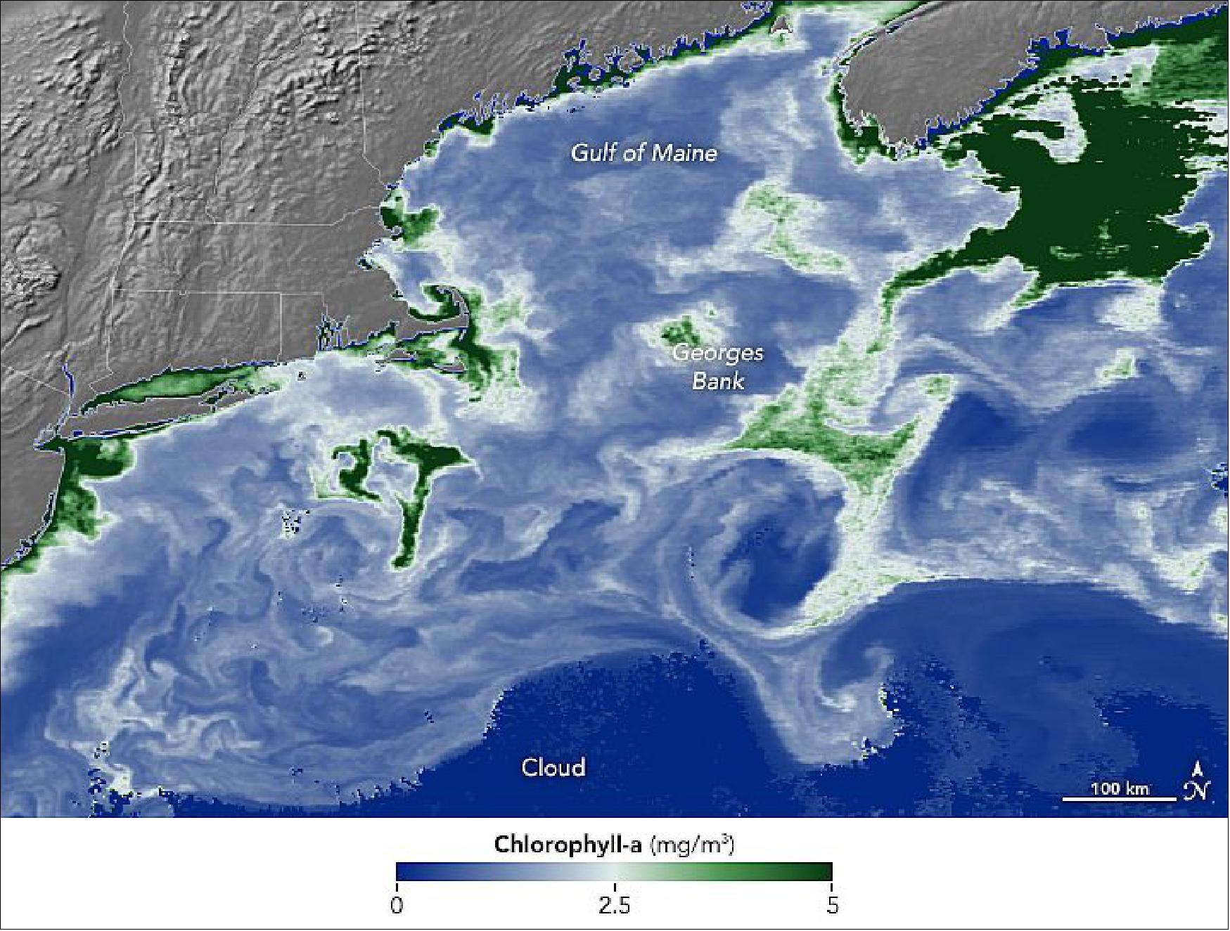 Figure 43: Data for the image were collected by Aqua MODIS on March 30, 2021. The image shows concentrations of chlorophyll-a in the North Atlantic Ocean from New Jersey to Nova Scotia; the darkest shades of green show areas with the greatest chlorophyll concentrations (image credit: NASA Earth Observatory images by Lauren Dauphin, using MODIS data from NASA EOSDIS LANCE and GIBS/Worldview. Story by Michael Carlowicz)