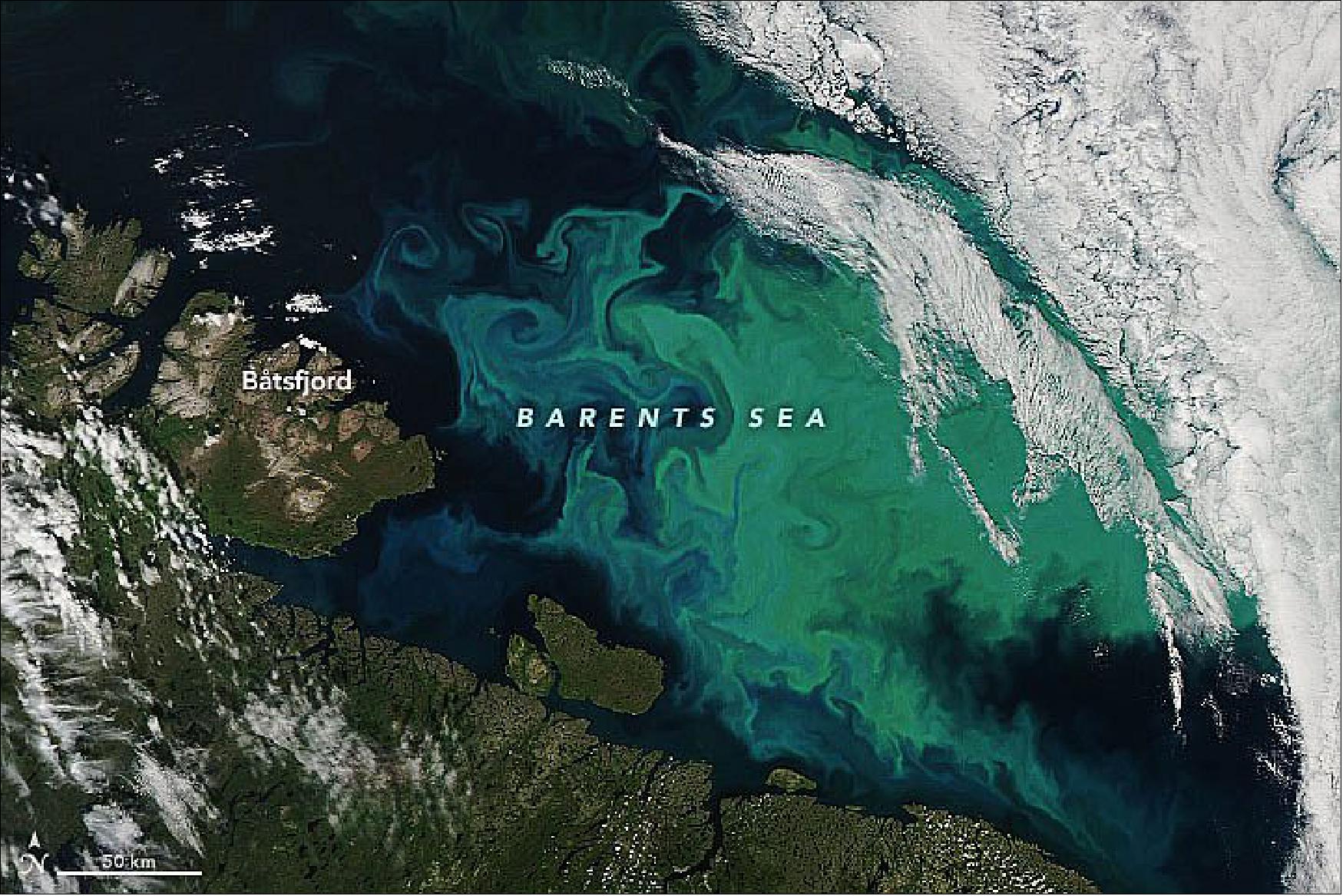 Figure 28: However, the bloom in this image appears green and turquoise blue. The image, centered on the Barents Sea north of the Kola Peninsula, was acquired on July 15, 2021, with the Moderate Resolution Imaging Spectroradiometer (MODIS) on NASA’s Aqua satellite (image credit: NASA Earth Observatory image by Joshua Stevens, using MODIS data from NASA EOSDIS LANCE and GIBS/Worldview. Story by Kathryn Hansen with image interpretation by Andrew Orkney and Heather Bouman/University of Oxford)