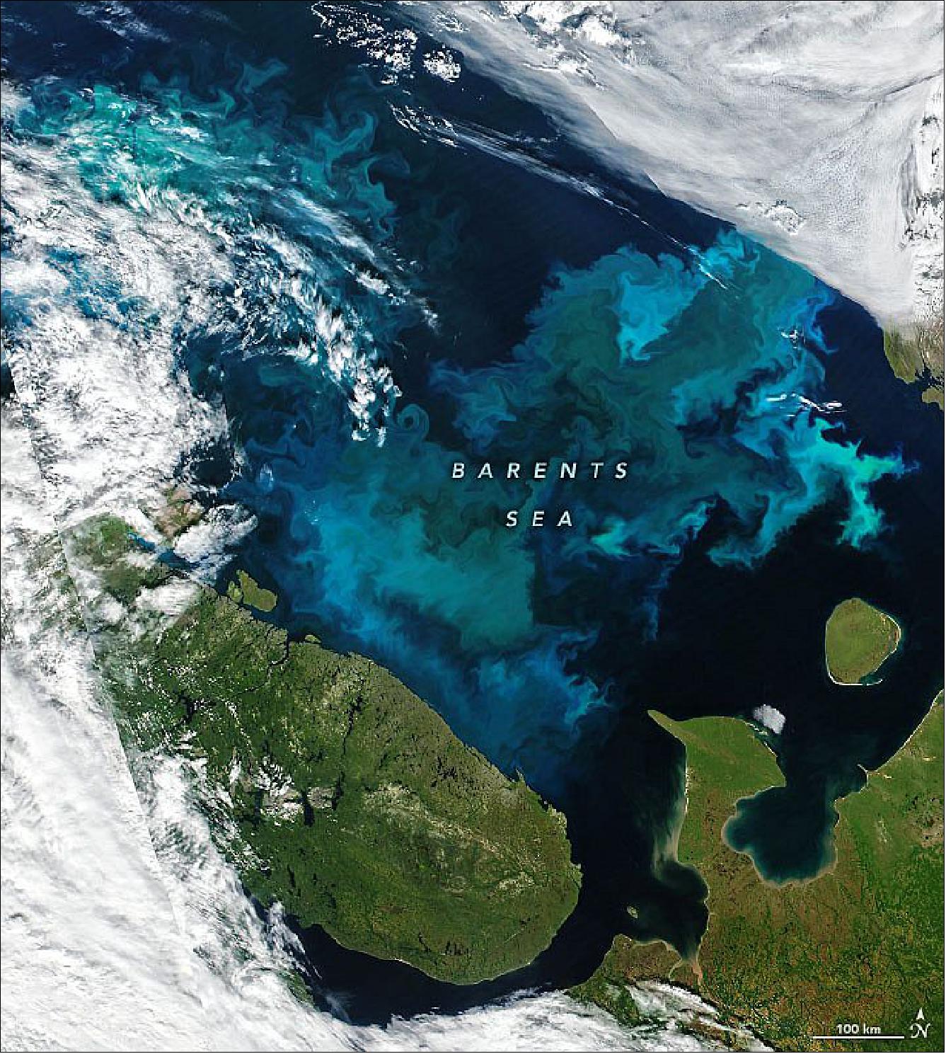 Figure 20: Meanwhile, about 3,000 miles (5,000 km) away in the Barents Sea, a bloom that dazzled in mid-July continued to put on a display. The image above was acquired on August 9, 2021, with the Visible Infrared Imaging Radiometer Suite (VIIRS) on the NASA-NOAA Suomi NPP satellite. Traces of the bloom were still visible as recently as August 18 (image credit: NASA Earth Observatory)