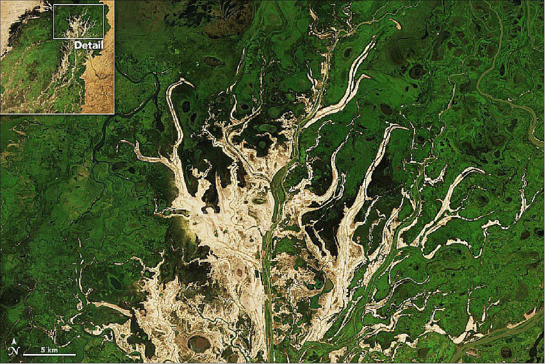 Figure 2: This image, acquired on November 16, 2021, by the Operational Land Imager (OLI) on Landsat 8, shows a closeup of the sand ridges in the northern half of the delta (image credit: NASA Earth Observatory)