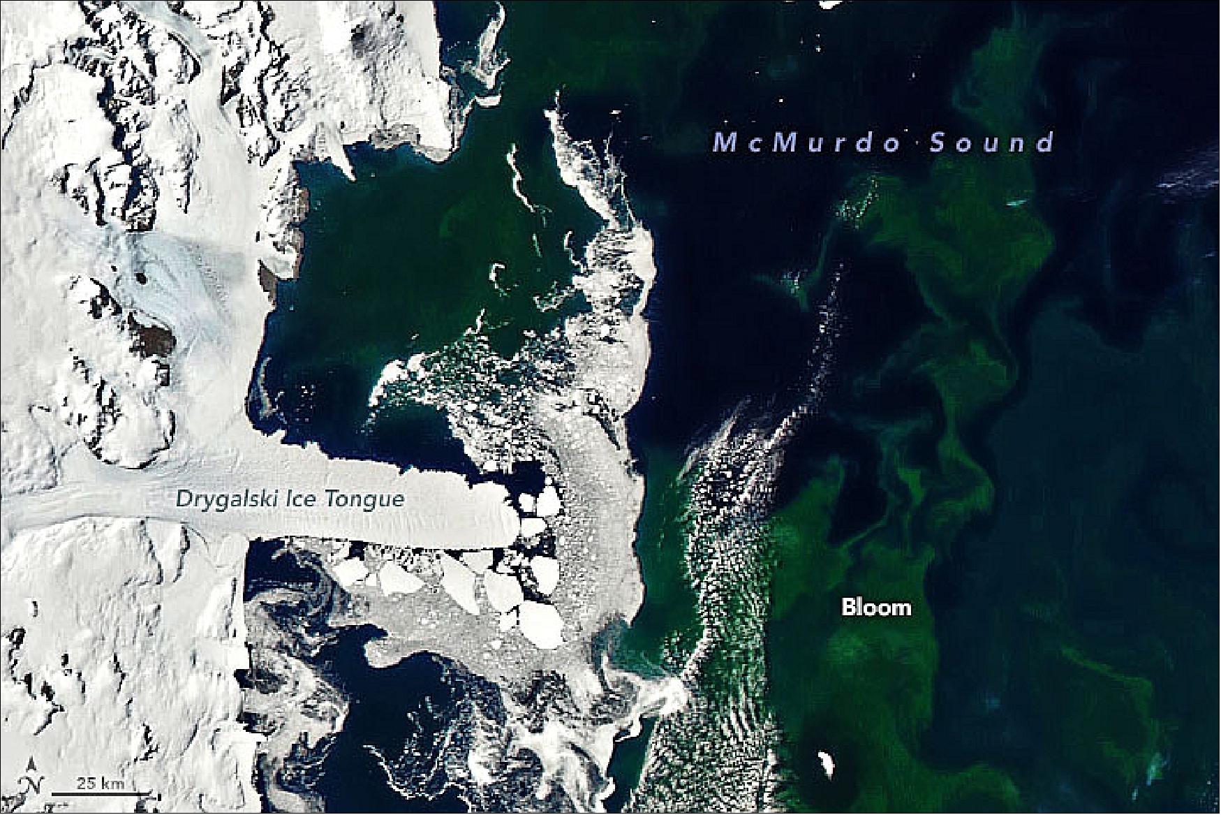 Figure 94: Off the coast of Antarctica, vibrant green phytoplankton swirls amidst the sea ice. The floating, microscopic plant-like organisms were abundant in Terra Nova Bay and McMurdo Sound on January 21, 2020, when the MODIS instrument on NASA's Aqua satellite acquired this image. Such colorful swirls in coastal waters are sometimes caused by sediments stirred up by waves and currents. But scientists say the source of the color this month has a biological origin (image credit: NASA Earth Observatory, image by Joshua Stevens, using MODIS data from NASA EOSDIS/LANCE and GIBS/Worldview. Text by Kathryn Hansen)