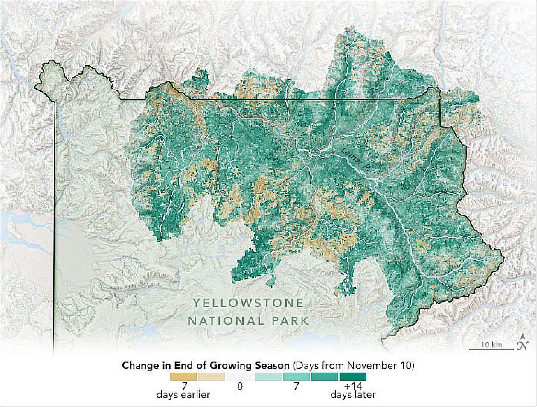 Figure 88: A new study has found a link between the effects of climate change, the productivity of grasslands, and the proliferation of bison in Yellowstone National Park. The map depicts one aspect of that change: how the end of the growing season fluctuated around Yellowstone National Park between 2001 and 2017. The map is based on measurements of vegetation greenness, the NDVI (Normalized Difference Vegetation Index), as observed by the Moderate Resolution Imaging Spectroradiometer (MODIS) instruments on Aqua and Terra (image credit: NASA Earth Observatory image by Joshua Stevens, using data from Potter, C. (2020). Story by Abby Tabor, NASA Ames Research Center, and Mike Carlowicz)