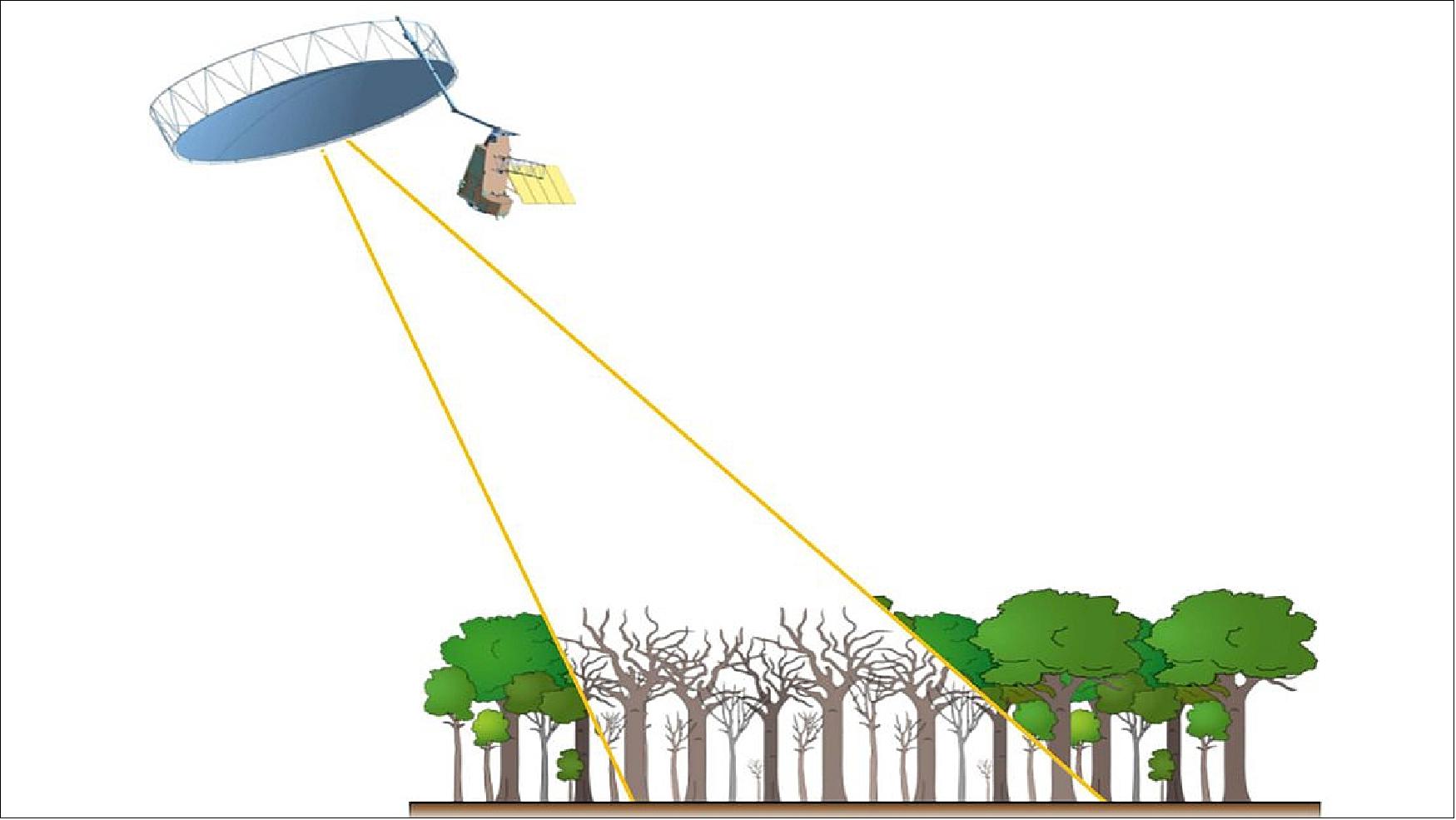 Figure 23: To see through leafy treetop to the trees themselves, ESA's forest-monitoring Biomass mission will employ long-wavelength ‘P-band’ radar, which has never previously flown in space. It will have its signals amplified to travel down from a 600-km-altitude orbit down to Earth and back (image credit: ESA) 42)