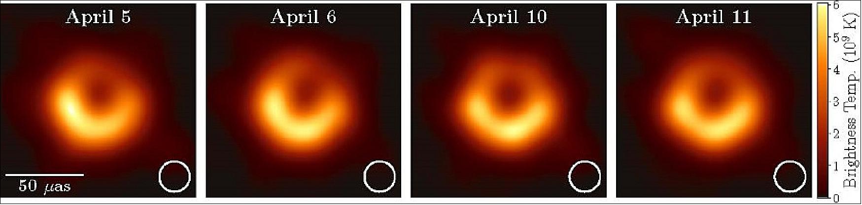 Figure 2: EHT images of M87 on four different observing nights. In each panel, the white circle shows the resolution of the EHT. All four images are dominated by a bright ring with enhanced emission in the south (image credit: Shep Doeleman & EHT Collaboration)