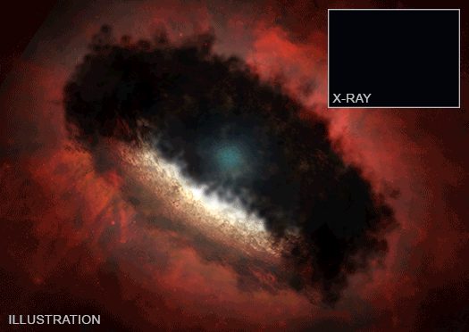 Figure 20: This artist's illustration depicts the object where astronomers discovered the X-ray flare. HOPS 383 is called a young "protostar" because it is in the earliest phase of stellar evolution that occurs right after a large cloud of gas and dust has started to collapse. Once it has matured HOPS 383, which is located about 1,400 light years from Earth, will have a mass about half that of the Sun (video credits: X-ray: NASA/CXC/Aix-Marseille University/N. Grosso et al.; Illustration: NASA/CXC/M. Weiss)