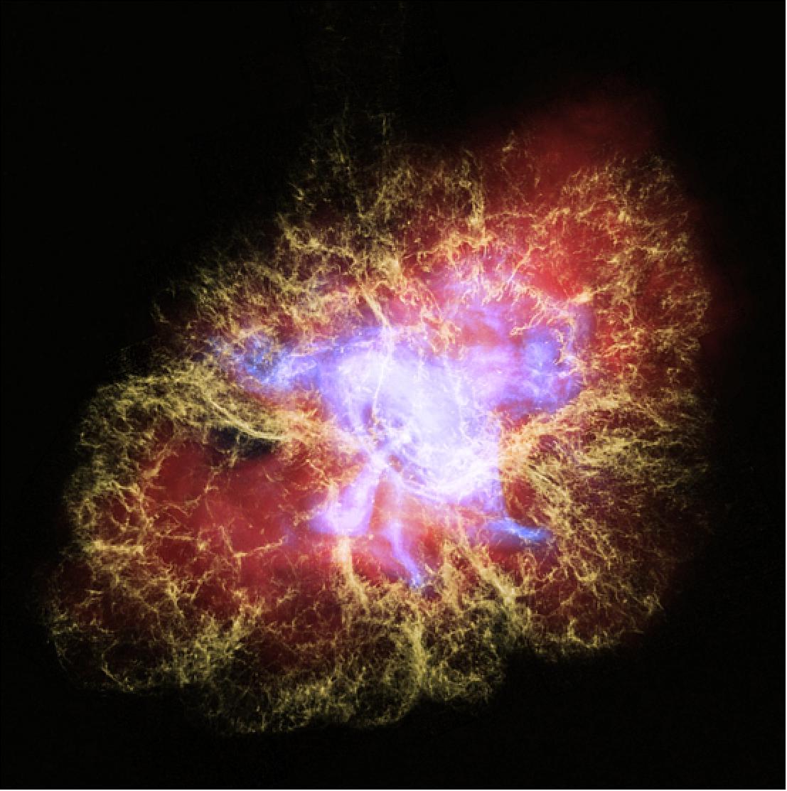 Figure 28: This new multiwavelength image of the Crab Nebula combines X-ray light from the Chandra X-ray Observatory (in blue) with visible light from the Hubble Space Telescope (in yellow) and infrared light seen by the Spitzer Space Telescope (in red). This particular combination of light from across the electromagnetic spectrum highlights the nested structure of the pulsar wind nebula. The X-rays reveal the beating heart of the Crab, the neutron-star remnant from the supernova explosion seen almost a thousand years ago. This neutron star is the super-dense collapsed core of an exploded star and is now a pulsar that rotates at a blistering rate of 30 times per second. A disk of X-ray-emitting material, spewing jets of high-energy particles perpendicular to the disk, surrounds the pulsar. The infrared light in this image shows synchrotron radiation, formed from streams of charged particles spiraling around the pulsar's strong magnetic fields. The visible light is emission from oxygen that has been heated by higher-energy (ultraviolet and X-ray) synchrotron radiation. The delicate tendrils seen in visible light form what astronomers call a "cage" around the rich tapestry of synchrotron radiation, which in turn encompasses the energetic fury of the X-ray disk and jets. These multiwavelength interconnected structures illustrate that the pulsar is the main energy source for the emission seen by all three telescopes. The Crab Nebula resides 6,500 light-years from Earth in the constellation Taurus [image credits: NASA, ESA and J. DePasquale (STScI) and R. Hurt (Caltech/IPAC)]