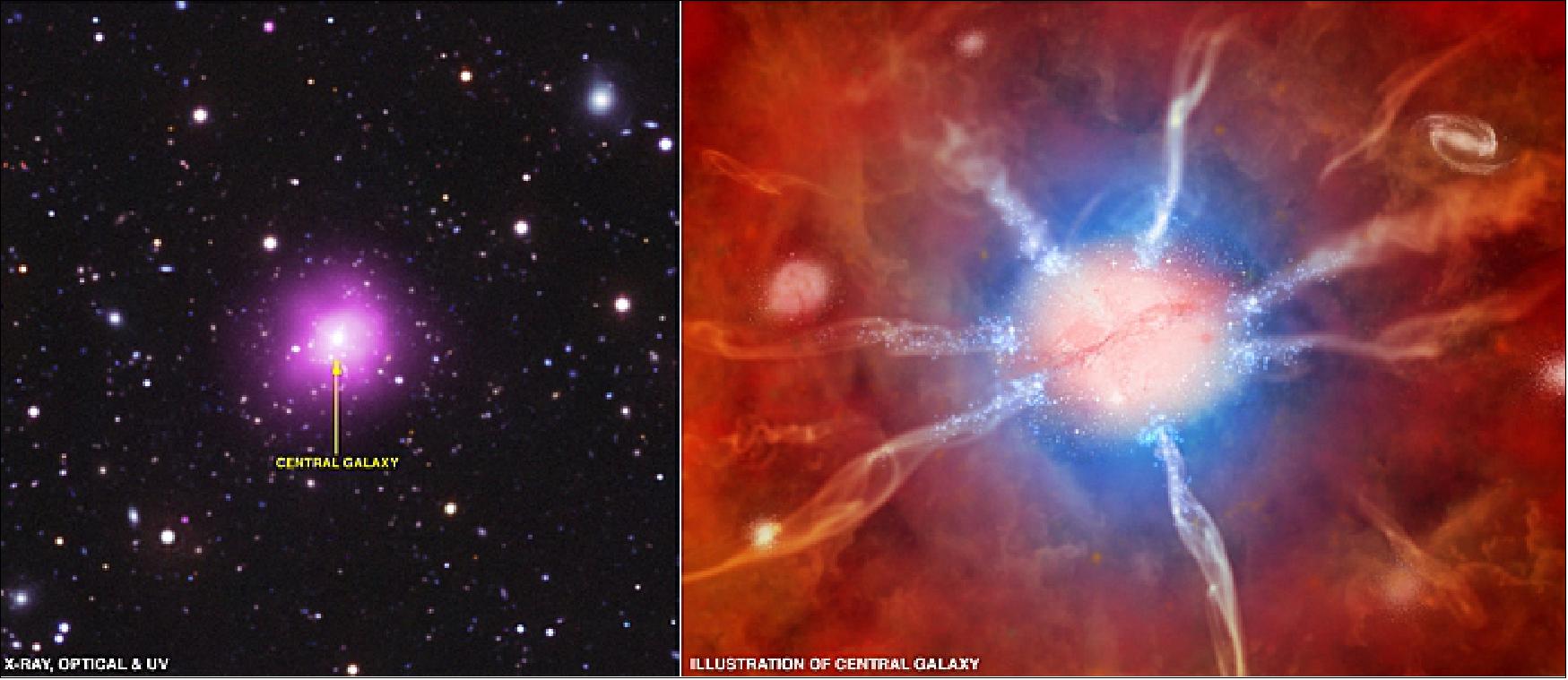 Figure 53: The image on the left shows the newly discovered Phoenix Cluster, located about 5.7 billion light years from Earth. This composite includes an X-ray image from NASA's Chandra X-ray Observatory in purple, an optical image from the 4m Blanco telescope in red, green and blue, and an ultraviolet (UV) image from NASA's Galaxy Evolution Explorer (GALEX) in blue. The Chandra data show hot gas in the cluster and the optical and UV images show galaxies in the cluster and in nearby parts of the sky (image credit: X-ray: NASA/CXC/MIT/M.McDonald; UV: NASA/JPL-Caltech/M.McDonald; Optical: AURA/NOAO/CTIO/MIT/M.McDonald; Illustration: NASA/CXC/M.Weiss)