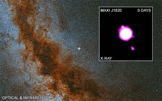 Figure 23: The black hole and its companion star make up a system called MAXI J1820+070, located in our Galaxy about 10,000 light years from Earth. The black hole in MAXI J1820+070 has a mass about eight times that of the Sun, identifying it as a so-called stellar-mass black hole, formed by the destruction of a massive star. [(This is in contrast to supermassive black holes that contain millions or billions of times the Sun's mass) image credit: X-ray: NASA/CXC/Université de Paris/M. Espinasse et al.; Optical/IR:PanSTARRS]