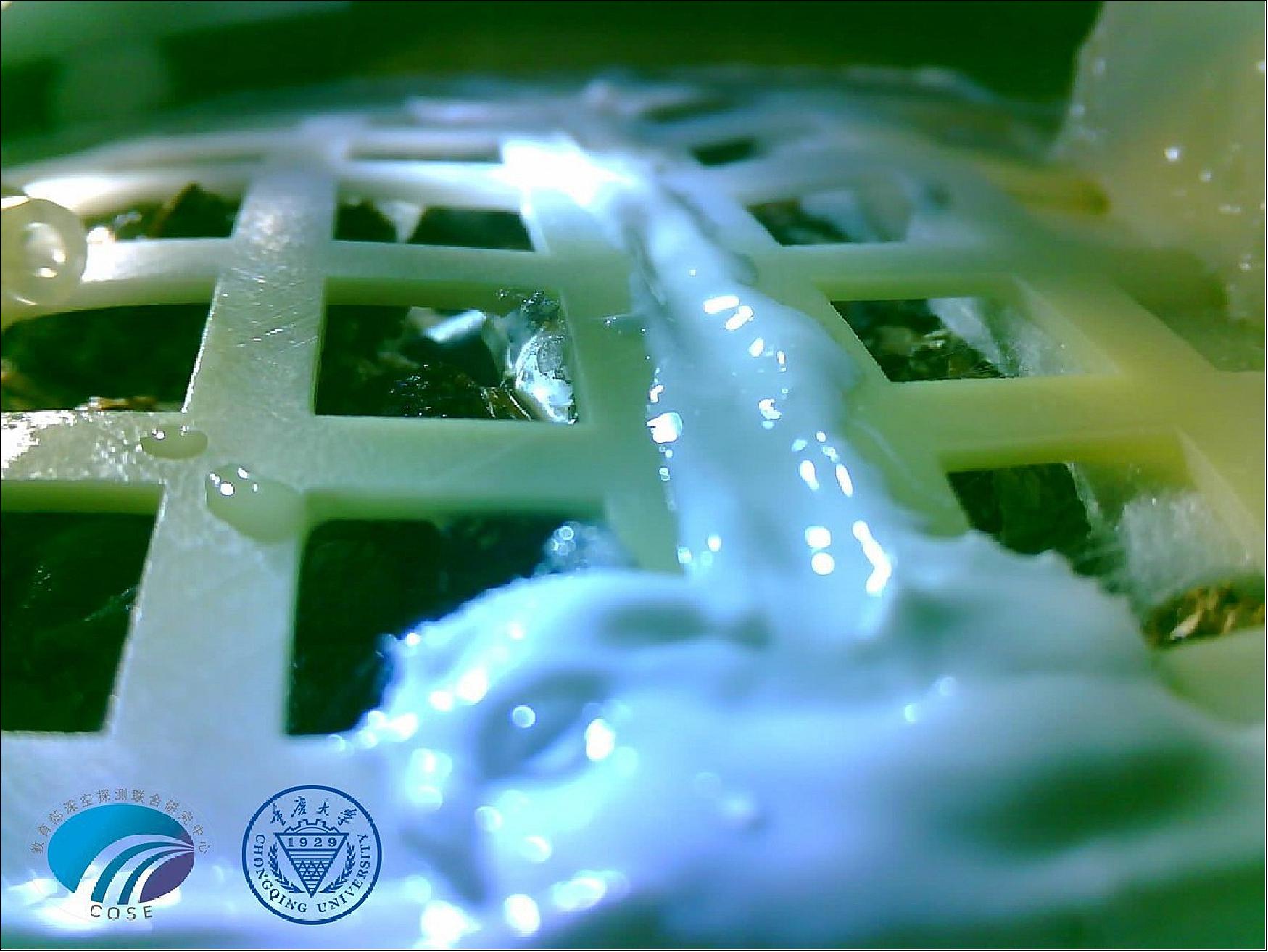 Figure 25: At 8 pm on Jan. 12, Chang'e 4 sends back the last photo of the bio test load showing that tender shoots have come out and the plants are growing well inside the sealed test can. It is the first time humans conducted a biological growth and cultivation experiment on the surface of the moon (image credit: China Daily)