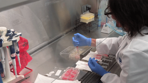 Figure 4: Preparation of tissue culture plates for Colgate Skin Aging, which evaluates changes in skin cells in microgravity and could help provide a model for assessing products for protecting skin from the effects of aging (image credit: Colgate-Palmolive)