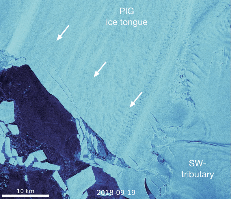 Figure 10: Rift evolution across the ice tongue – a long, narrow ice sheet extending seaward – of Antarctica’s Pine Island Glacier (PIG) in September and October of 2018, as seen by the Copernicus Sentinel-1 mission. The video shows the emergence of an ice sheet rift in a region that was previously stable [image credit: ESA, the image contains modified Copernicus Sentinel data (2018), processed by Stef Lhermitte (TU Delft)]