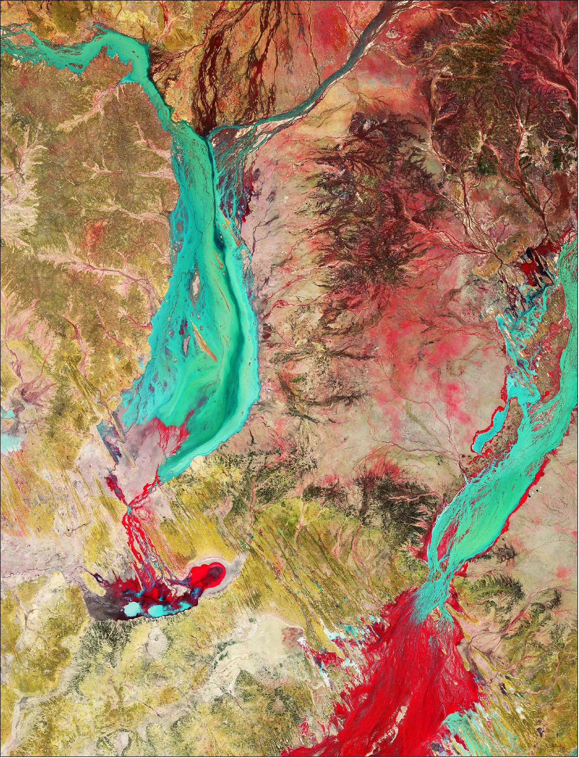 Figure 35: This false-color image, captured shortly after the cyclone hit, on 5 April 2019, was processed in a way that included the near-infrared channel – which makes vegetation appear bright red. Mud and sediments in the waters of the Georgina and Diamantina Rivers and the other smaller channels can be seen in cyan. Desert, bare soil and rocks are visible in shades of green. This image is also featured on the Earth from Space video program (image credit: ESA, the image contains modified Copernicus Sentinel data (2019), processed by ESA, CC BY-SA 3.0 IGO)