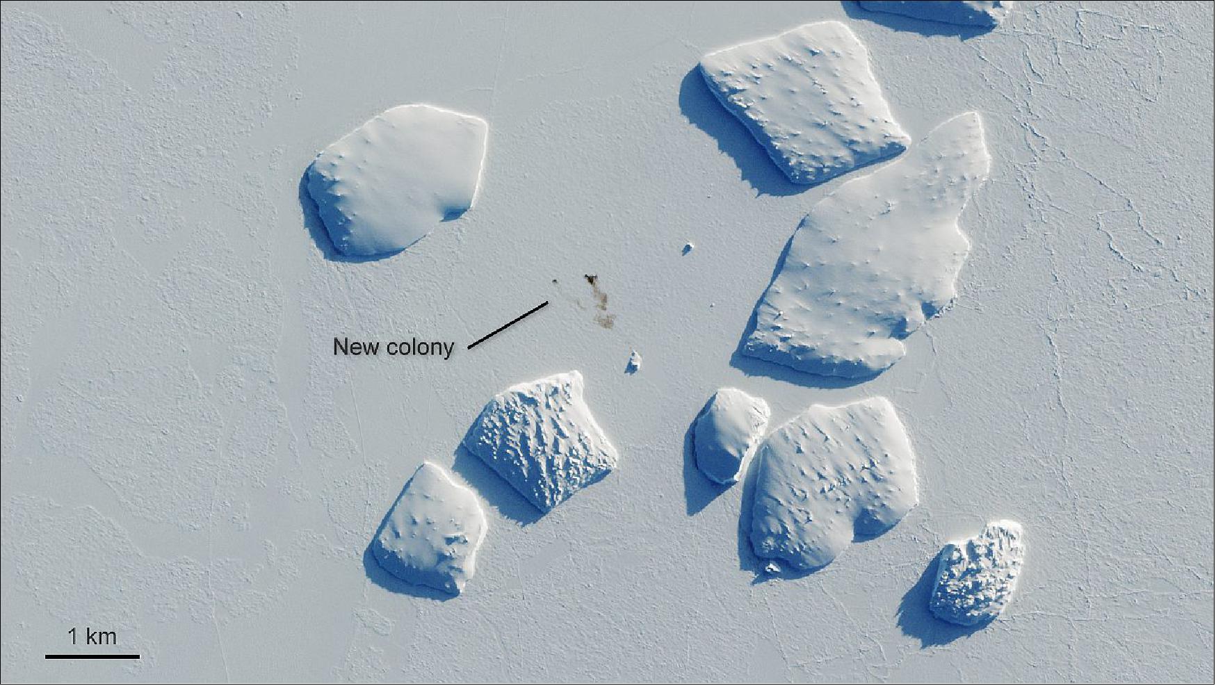 Figure 21: A penguin colony near Ninnis Bank was spotted by the Copernicus Sentinel-2 mission on 26 August 2019. Although penguins are too small to show up in satellite images, giant stains on the ice from penguin droppings – known as guano – are easy to identify. These brownish patches have allowed scientists to locate and track penguin populations across the entire continent (image credit: ESA, the image contains modified Copernicus Sentinel data (2019), processed by ESA, CC BY-SA 3.0) IGO)
