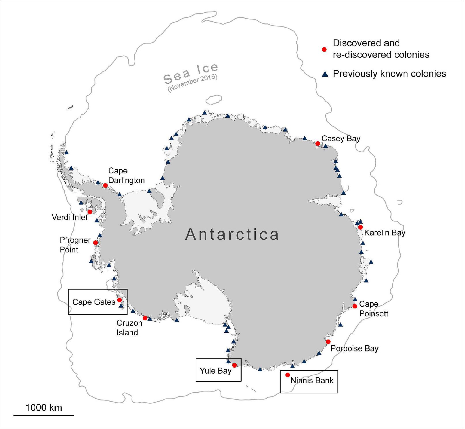 Figure 20: This map shows the locations of known, re-discovered and newly discovered penguin colonies in Antarctica (image credit: BAS/ESA)