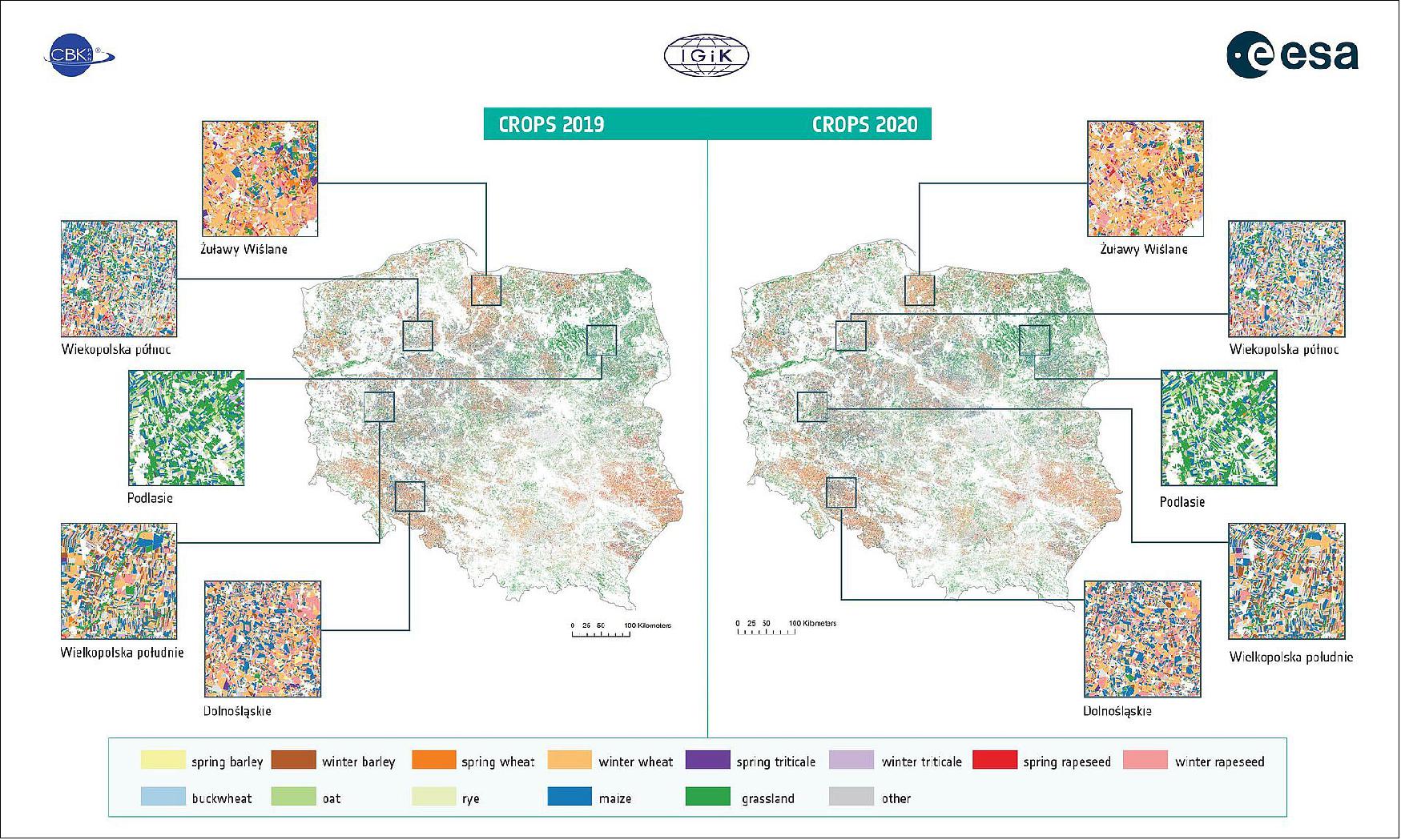 Figure 6: EOStat mapping of crop type in Poland. These two maps show the various crop types identified and mapped in the 2019 and 2020 vegetation seasons in Poland by the ESA EOStat project, which uses data from the Copernicus Sentinel-1 and Sentinel-2 satellites. Crop types explored: barley (spring and winter), wheat (spring and winter), triticale (spring and winter), rapeseed (spring and winter) buckwheat, oat, rye, maize, grassland and other. The same five regions are also identified in each map (for 2019 and 2020: Żuławy Wiślane, Wiekopolska północ, Podlasie, Wielkopolska południe and Dolnośląskie), with a closer view of crop diversification shown in the inset boxes. The map scale is shown to the bottom center (in kilometers), image credit: EOStat (ESA/IGiK/CBK PAN)