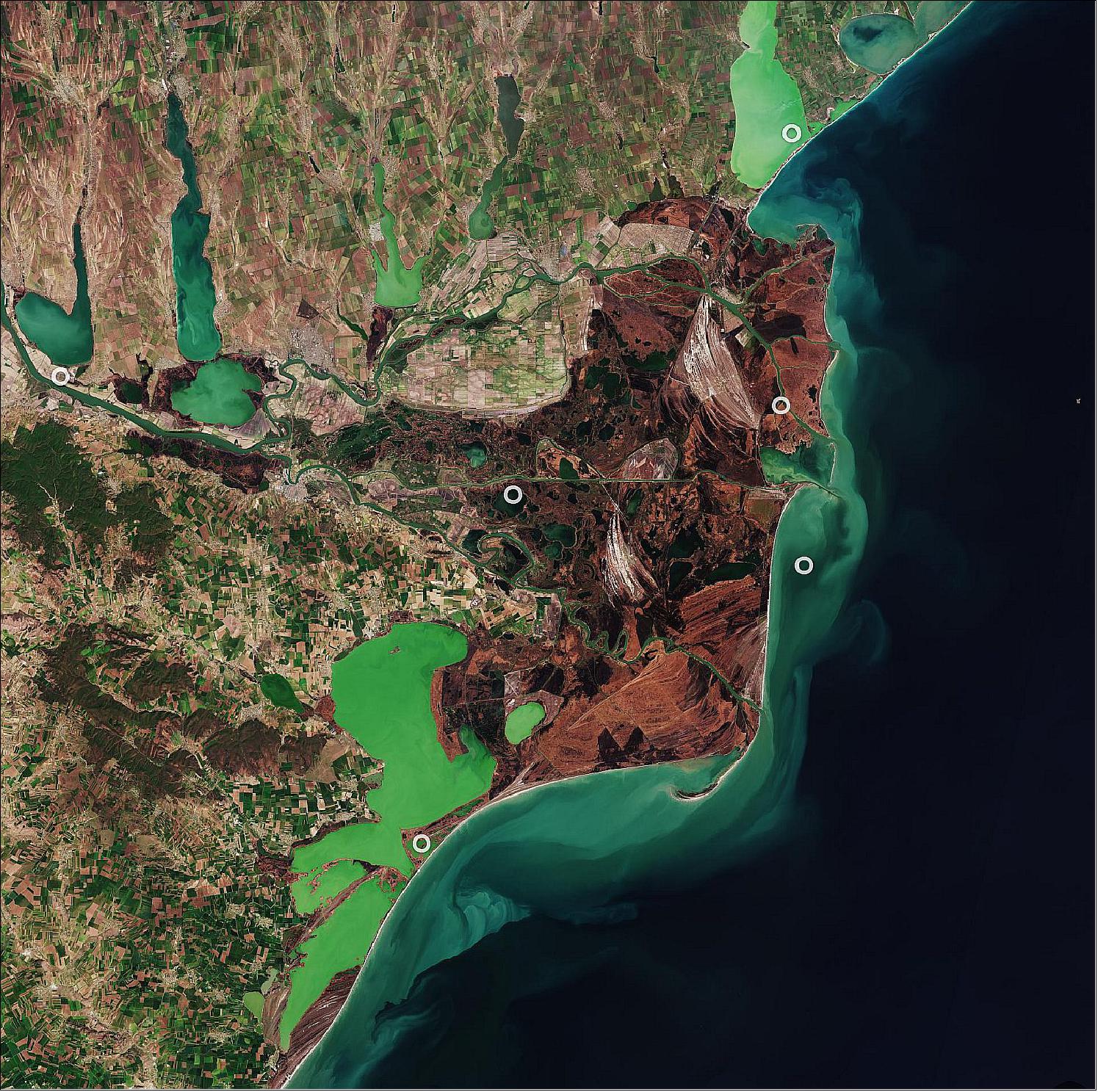 Figure 26: In this true-color image, captured in April 2020, the vast reed beds can be seen in shades of brown which is typical during this time of year. The Danube is visible (in the left of the image) before splitting into the various channels and branches that flow through the reeds and grassland before reaching the Black Sea. The distinct light-green colors in the sea are likely due to sediment being carried by the river. This image is also featured on the Earth from Space video program (image credit: ESA, the image contains modified Copernicus Sentinel data (2020), processed by ESA, CC BY-SA 3.0 IGO)