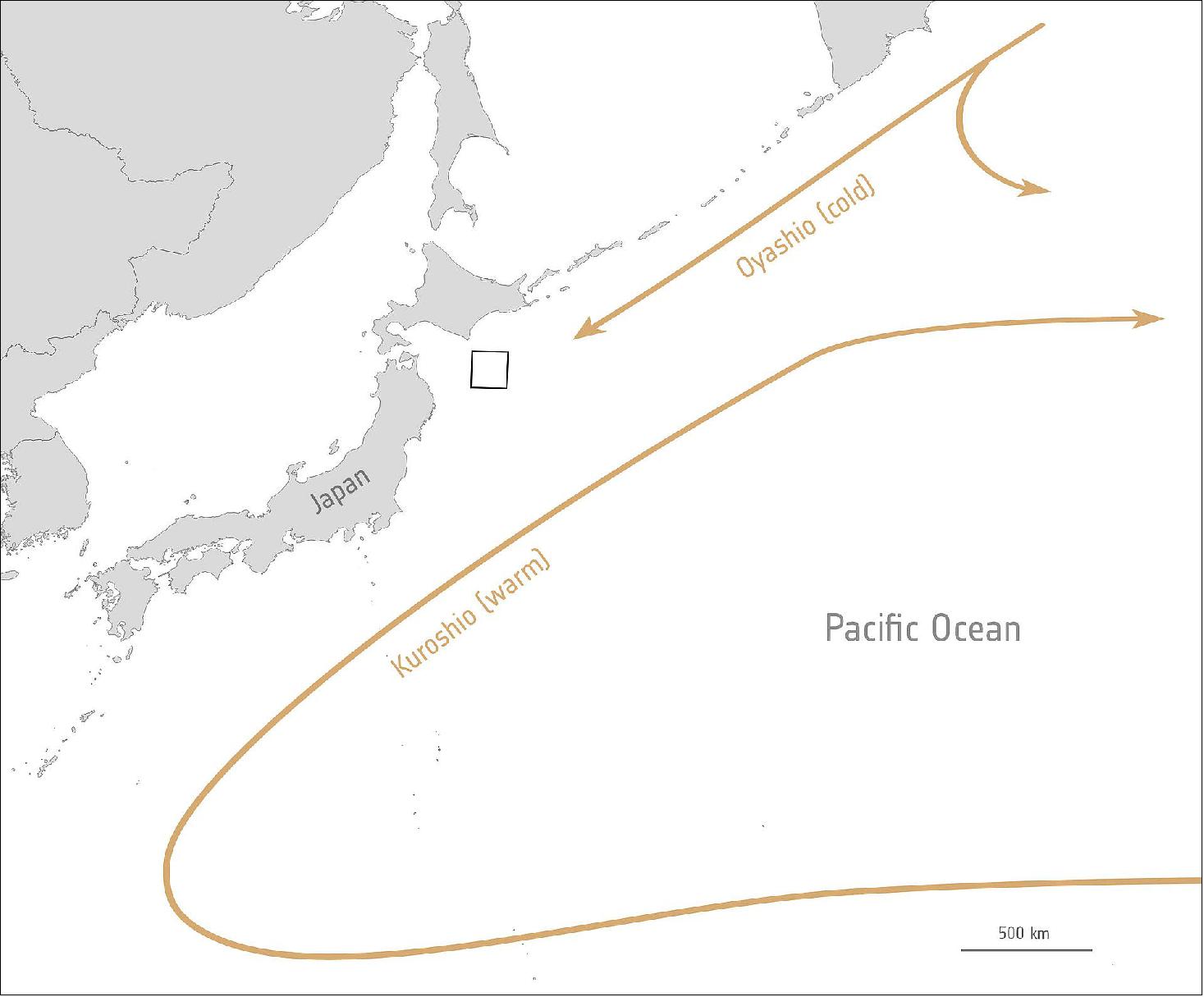 Figure 75: In the Pacific Ocean, near Hokkaido, Japan the colder Oyashio Current converges from the north with the warmer Kuroshio Current, which flows from the south. When two currents with different temperatures and densities collide, they often create eddies – swirls of water drifting along the edge of the two water masses. The phytoplankton growing atop the surface waters become concentrated along the boundaries of these eddies and trace out the motions of the water (image credit: ESA)