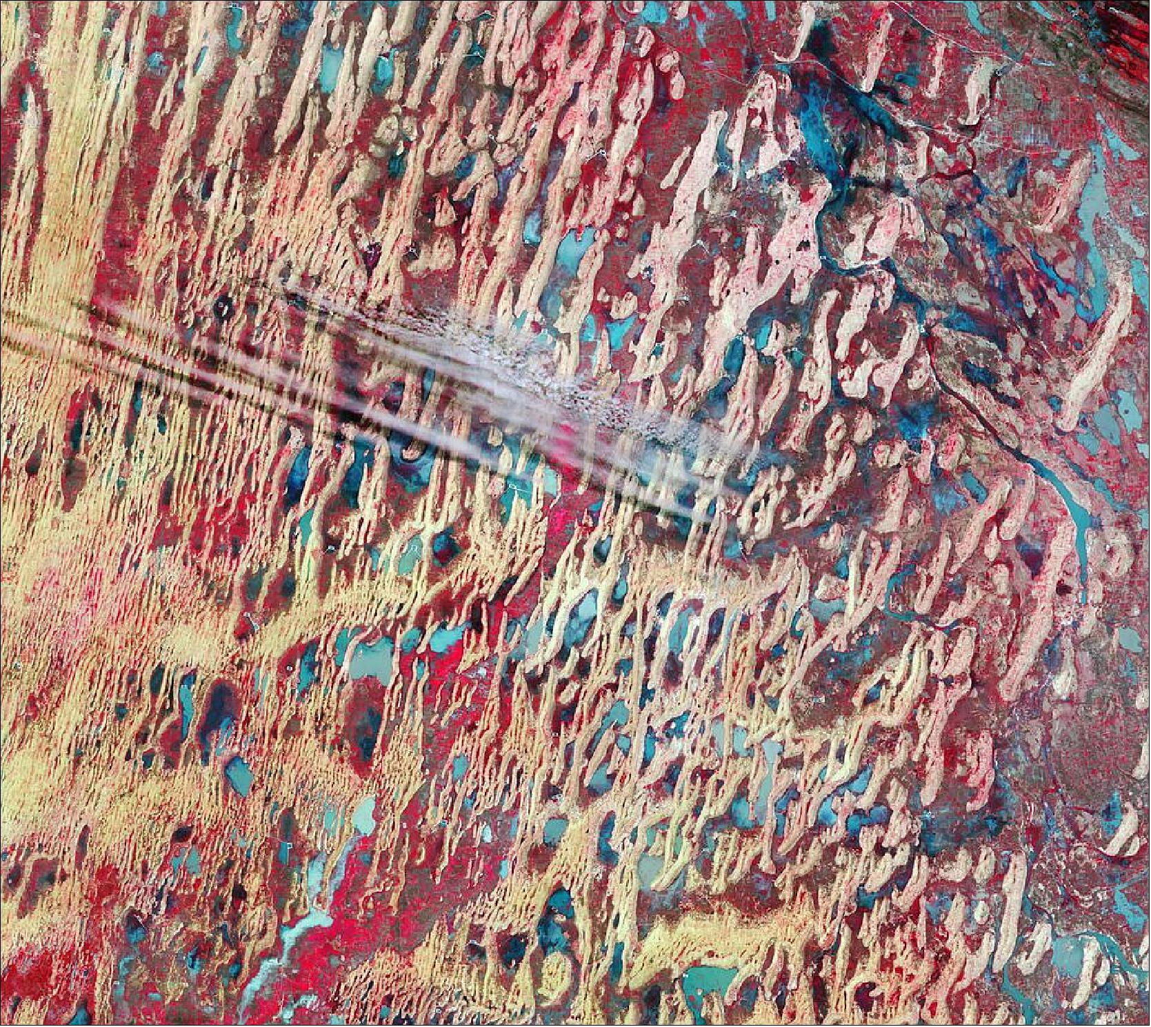 Figure 3: This false-color image, captured on 25 August 2021, was processed in a way that also includes information from the near-infrared channel and shows vegetation in tones of red. This band combination is routinely used to monitor vegetation health. Although the area lies within an arid climatic region, low vegetation covering the valley floors between the sand dunes can be seen in bright shades of red. This image is also featured on the Earth from Space video program (image credit: ESA)