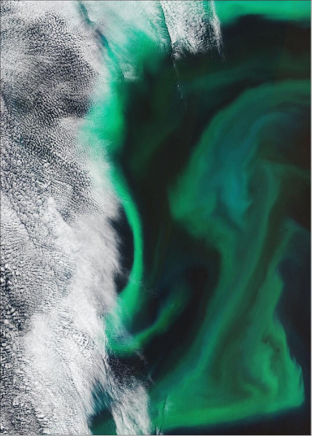 Figure 74: In the image pictured here, captured on 14 June 2019, high concentrations of algae can be seen around 130 km off Hokkaido Island, the second largest island of Japan. This particular algal bloom measured more than 500 km across and 200 km wide, with the area pictured here showing just a small portion of the bloom, around 100 km from north to south and around 110 km from east to west. This image is also featured in this week's Earth from Space Program (image credit: ESA)
