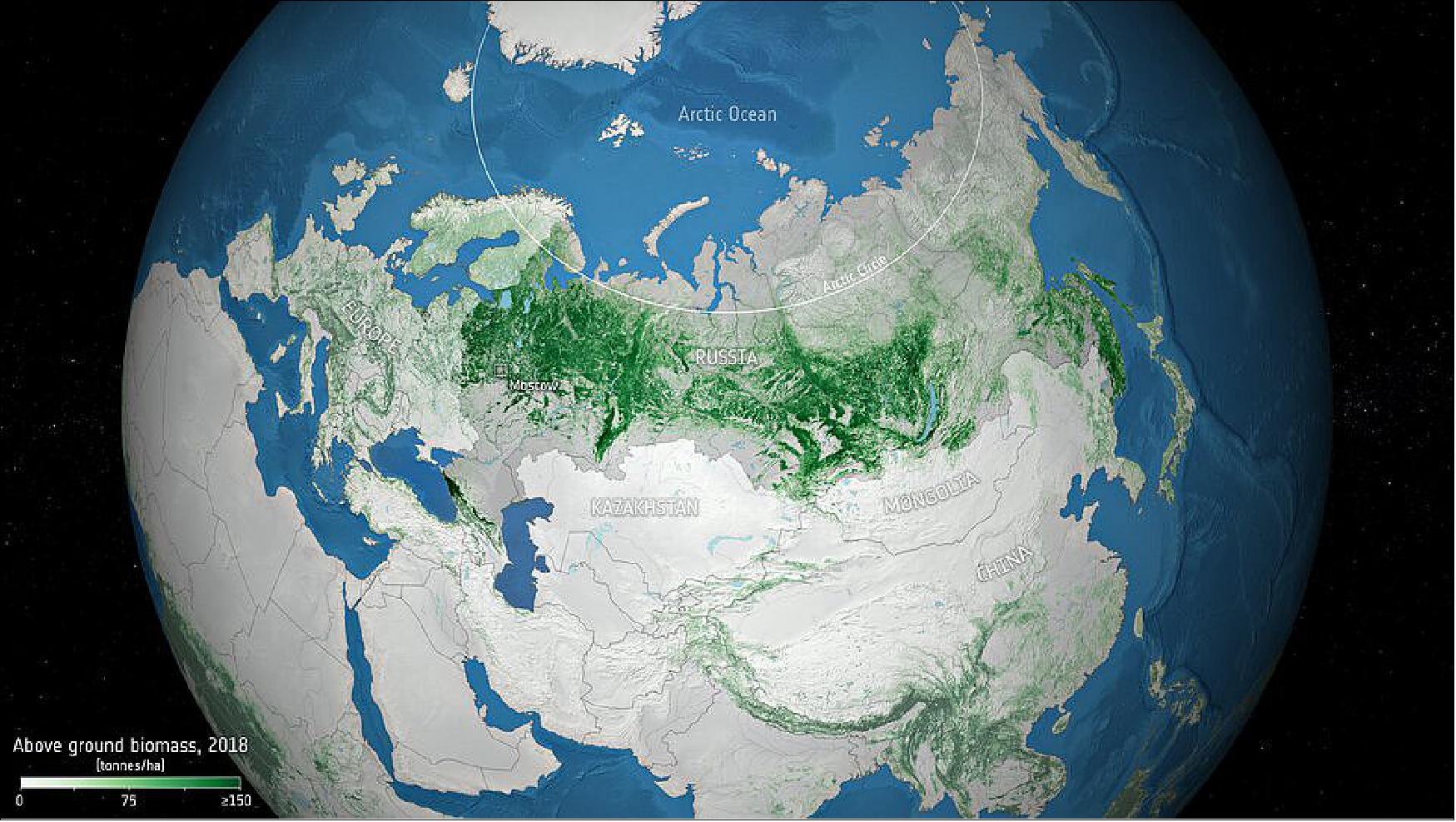Figure 24: The map shows the above ground biomass in Russia, using data generated by ESA's Climate Change Initiative (CCI) Biomass project [image credit: ESA (data source: CCI Biomass project)]