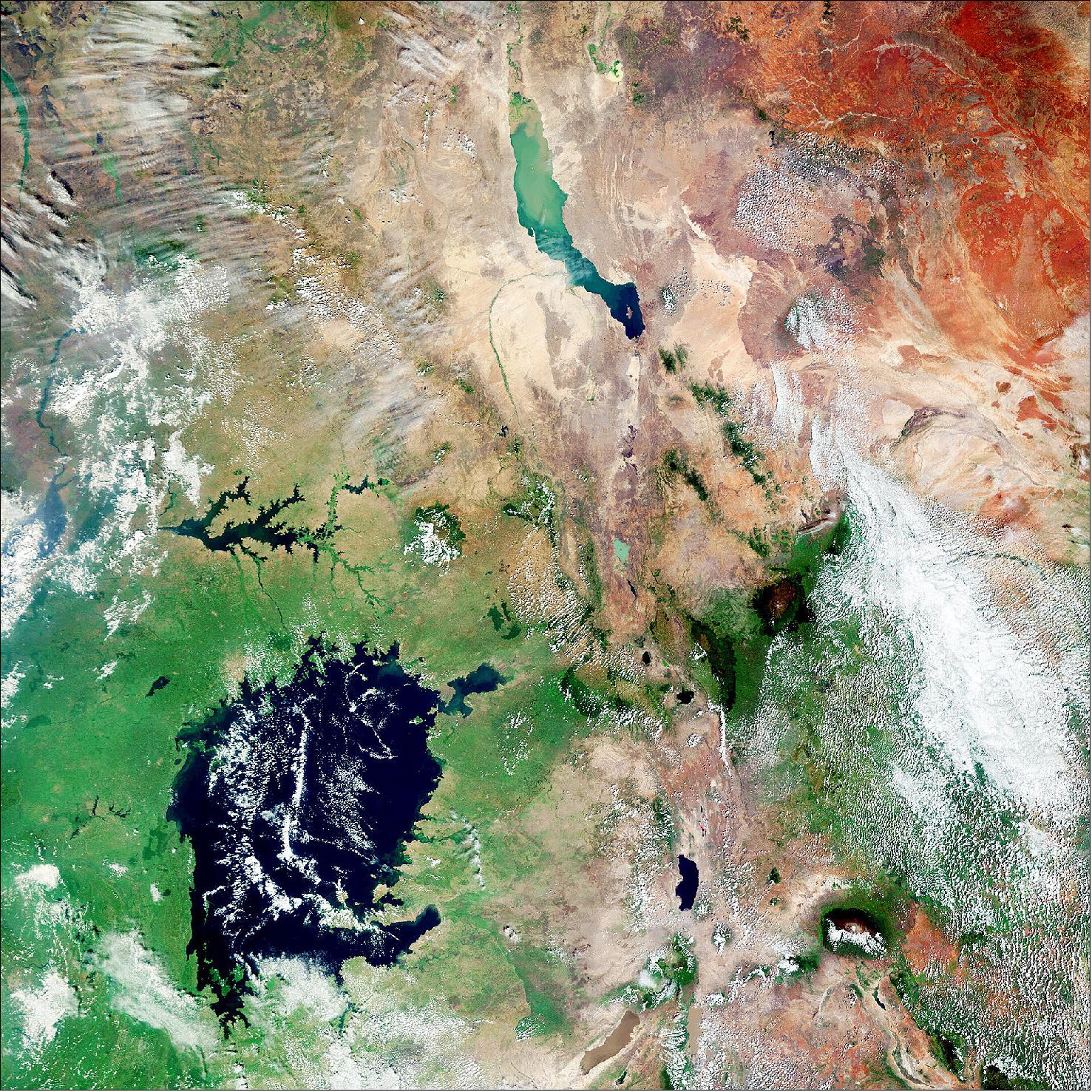 Figure 3: Lake Victoria and Lake Turkana are featured in this image captured by the Copernicus Sentinel-3 mission. These two large African lakes that were included in a new study published today in the AGU journal Geophysical Research Letters. According to the study's main findings, lakes at lower latitudes such as these are anticipated to experience the greatest increase in severe lake heatwaves (image credit: ESA, the image contains modified Copernicus Sentinel (2021), processed by ESA, CC BY-SA 3.0 IGO)
