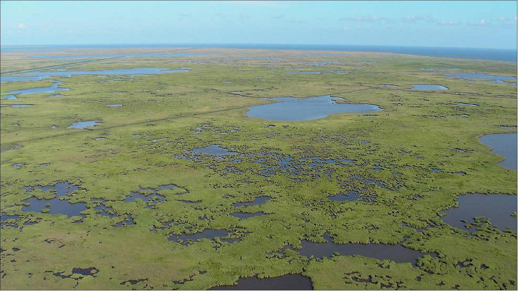 Figure 84: The Mississippi River Delta contains vast areas of marshes, swamps and barrier islands — important for wildlife and as protective buffers against storms and hurricanes. Rapid land subsidence due to sediment compaction and dewatering increases the rate of submergence in this system (image credit: K. L. McKee / U.S. Geological Survey)