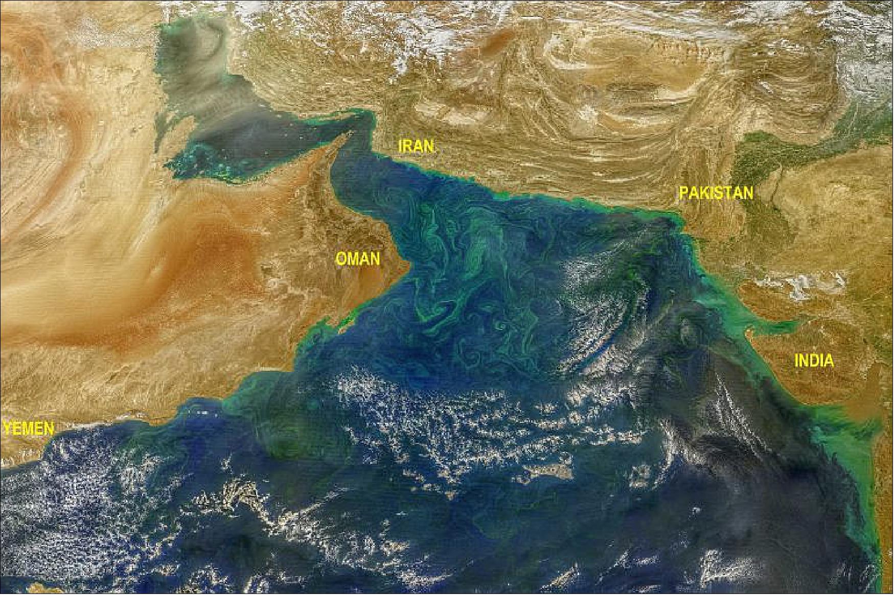 Figure 81: Noctiluca blooms in the Arabian Sea, as seen from space (image credit: NASA, Norman Kuring)