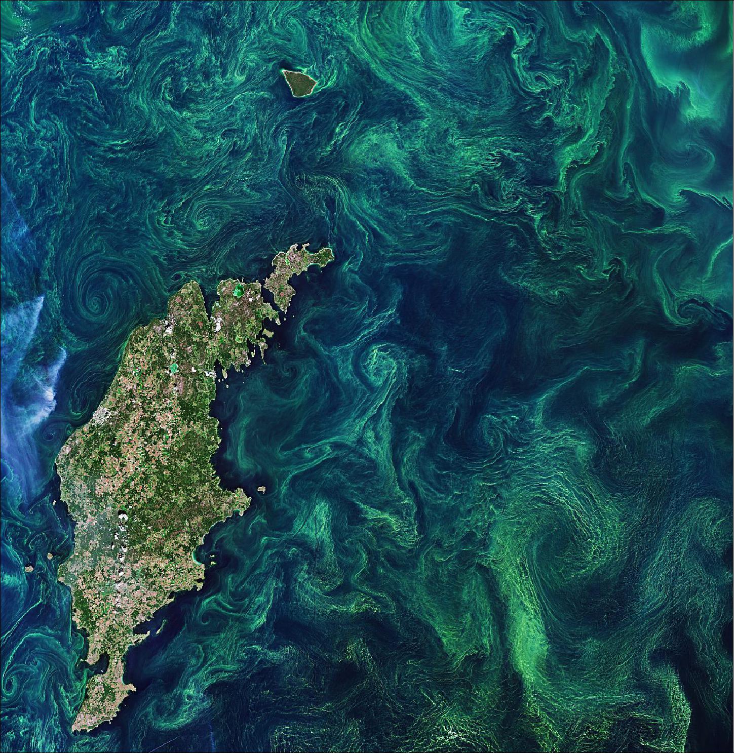 Figure 80: The Copernicus Sentinel-2 mission takes us over the green algae blooms swirling around the Baltic Sea. 'Algae bloom' is the term used to describe the rapid multiplying of phytoplankton – microscopic marine plants that drift on or near the surface of the sea. The chlorophyll that phytoplankton use for photosynthesis collectively tints the surrounding ocean waters, providing a way of detecting these tiny organisms from space. In most of the Baltic Sea, there are two annual blooms – the spring bloom and the cyanobacterial (also called blue-green algae) bloom in late summer. The Baltic Sea faces many serious challenges, including toxic pollutants, deep-water oxygen deficiencies, and toxic blooms of cyanobacteria affecting the ecosystem, aquaculture and tourism. Cyanobacteria have qualities similar to algae and thrive on phosphorus in the water. High water temperatures and sunny, calm weather often lead to particularly large blooms that pose problems to the ecosystem. - In this image captured on 20 July 2019, the streaks, eddies and whirls of the late summer blooms, mixed by winds and currents, are clearly visible. Without in situ measurements, it is difficult to distinguish the type of algae that covers the sea as many different types of algae grow in these waters. The highest concentrations of algal blooms are said to occur in the Central Baltic and around the island of Gotland, visible to the left in the image (image credit: ESA, the image contains modified Copernicus Sentinel data (2019), processed by ESA, CC BY-SA 3.0 IGO)