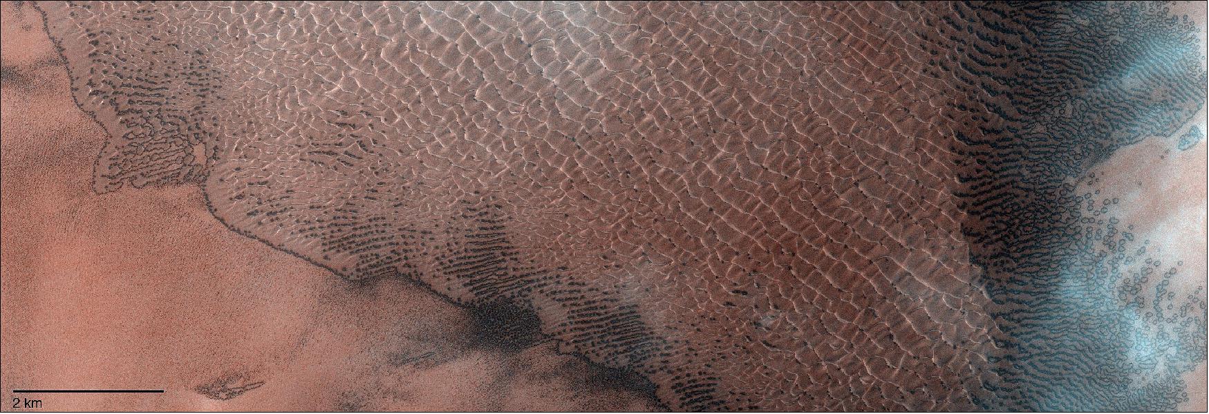 Figure 25: This spectacular dune field sits in the centre of Lomonosov crater, deep in the southern hemisphere of Mars (65ºS, 351ºE). It was imaged by the CaSSIS camera on the ESA-Roscosmos ExoMars Trace Gas Orbiter (TGO) on 2 December, 2020. The image was released on the occasion of the five year launch anniversary of the mission (image credit: ESA/Roscosmos/CaSSIS, CC BY-SA 3.0 IGO)