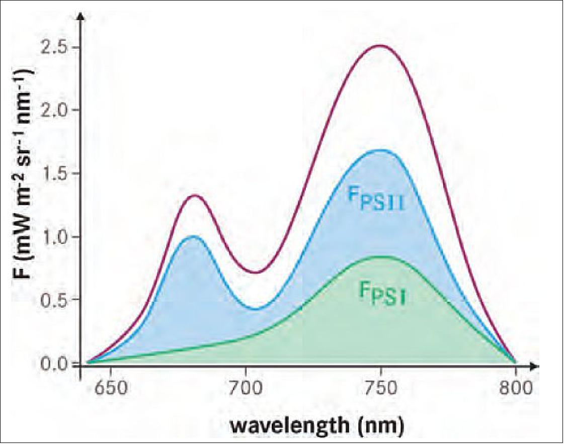 Figure 3: Total fluorescence emission spectrum based on the contributions from the two photosystems, PS II and PS I. Both photosystems operate in a reaction chain and are commonly measured as a two-peak signal, which are identified by their wavelength positions: F685 (originating mostly from PS II) and F740 (from both PS II and PS I), image credit: Forschungszentrum Jülich