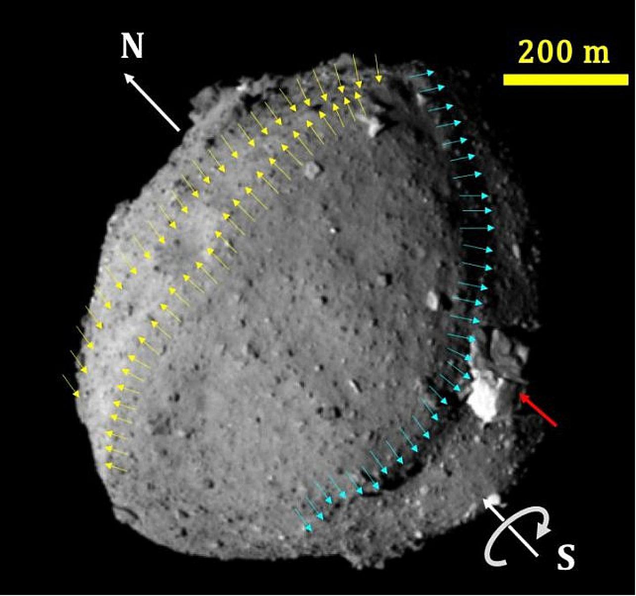 Figure 60: An oblique view of Ryugu showing the circum-equatorial ridge (yellow arrows), trough (blue arrows) extending from the equatorial region through the south polar region to the other side of Ryugu, and the large and bright Otohime Saxum (red arrow) near the south pole. The location of the poles and the spin direction are indicated with white arrows (image credit: 2019 Seiji Sugita et al., Science)
