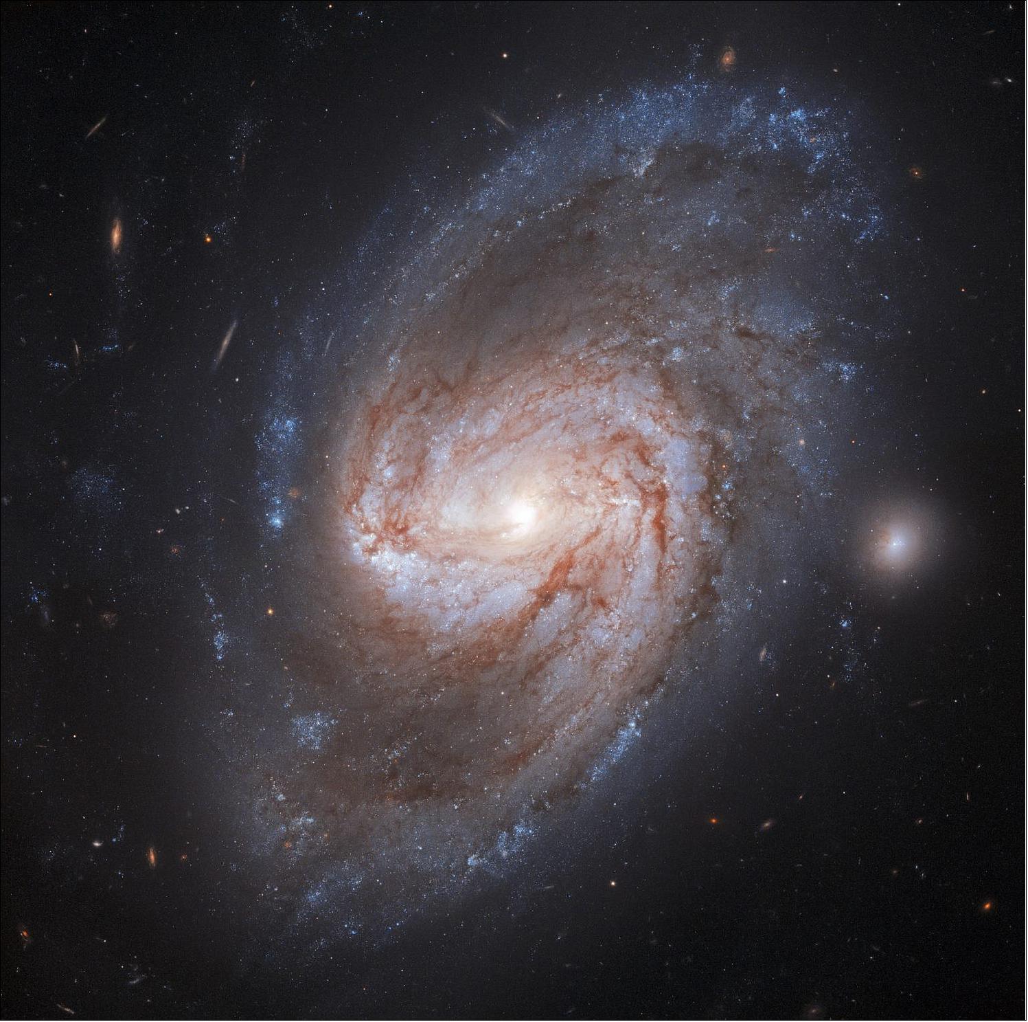 Figure 61: In the forests of the night lies a barred spiral galaxy called NGC 3583, imaged here by the NASA/ESA Hubble Space Telescope. This is a barred spiral galaxy with two arms that twist out into the Universe. This galaxy is located 98 million light-years away from the Milky Way. Two supernovae exploded in this galaxy, one in 1975 and another, more recently, in 2015 (image credit: ESA/Hubble & NASA, A. Riess et al.; CC BY 4.0)