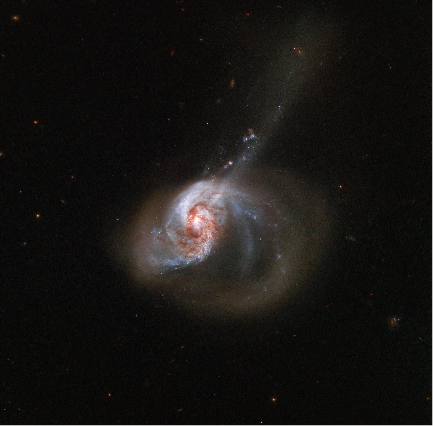 Figure 39: NGC 1614 is the result of a past galactic merger which created its peculiar appearance. The cosmic collision also drove a turbulent flow of interstellar gas from the smaller of the two galaxies involved into the nucleus of the larger one, resulting in a burst of star formation which started in the core and slowly spread outwards through the galaxy (image credit: ESA/Hubble & NASA, A. Adamo; CC BY 4.0)
