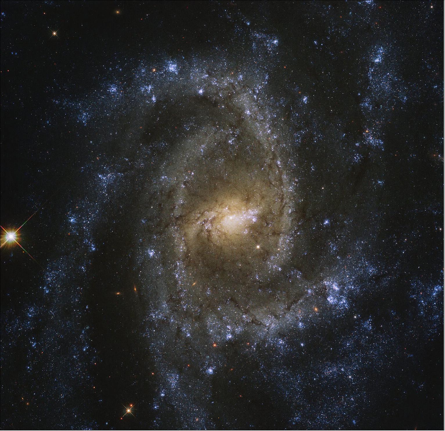 Figure 28: This galaxy was imaged as part of PHANGS-HST, a large galaxy survey with Hubble that aims to study the connections between cold gas and young stars in a variety of galaxies in the local Universe. Within NGC 2835, this cold, dense gas produces large numbers of young stars within large star formation regions. The bright blue areas, commonly observed in the outer spiral arms of many galaxies, show where near-ultraviolet light is being emitted more strongly , indicating recent or ongoing star formation (image credit: ESA/Hubble & NASA, J. Lee, and the PHANGS-HST Team Acknowledgement: Judy Schmidt (Geckzilla); CC BY 4.0)
