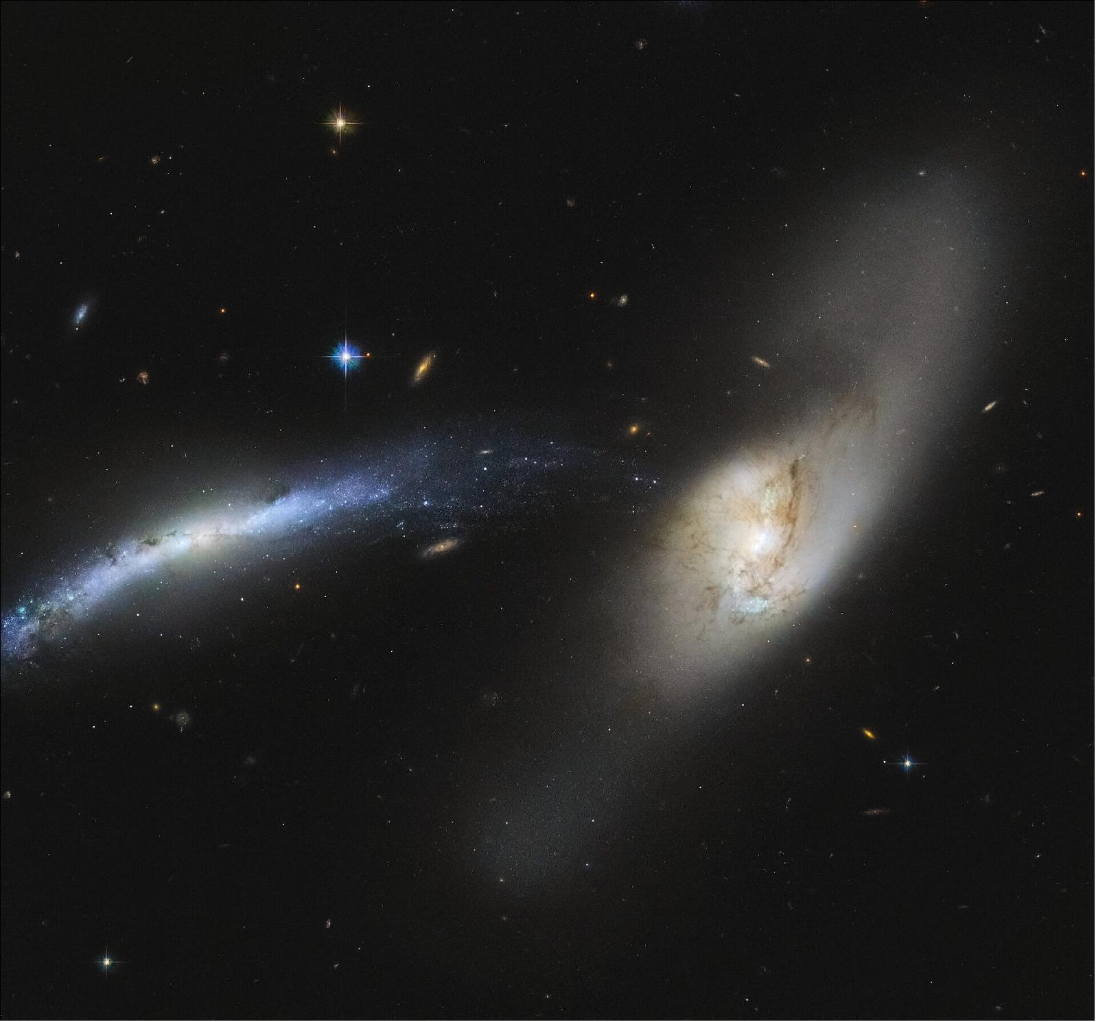 Figure 20: In this spectacular image captured by the NASA/ESA Hubble Space Telescope, the galaxy NGC 2799 (on the left) is seemingly being pulled into the center of the galaxy NGC 2798 (on the right), [image credit: ESA/Hubble & NASA, SDSS, J. Dalcanton, CC BY 4.0; Acknowledgement: Judy Schmidt (Geckzilla)]