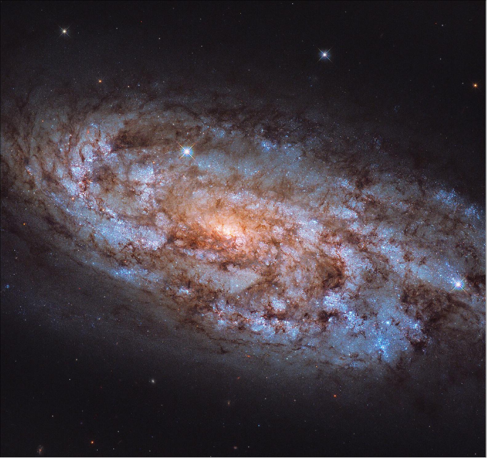 Figure 3: An orange glow radiates from the center of NGC 1792, the heart of this stellar forge. Captured by the NASA/ESA Hubble Space Telescope, this intimate view of NGC 1792 gives us some insight into this galactic powerhouse. The vast swathes of tell-tale blue seen throughout the galaxy indicate areas that are full of young, hot stars, and it is in the shades of orange, seen nearer the centre, that the older, cooler stars reside (image credit: ESA/Hubble & NASA, J. Lee; CC BY 4.0 Acknowledgement: Leo Shatz)