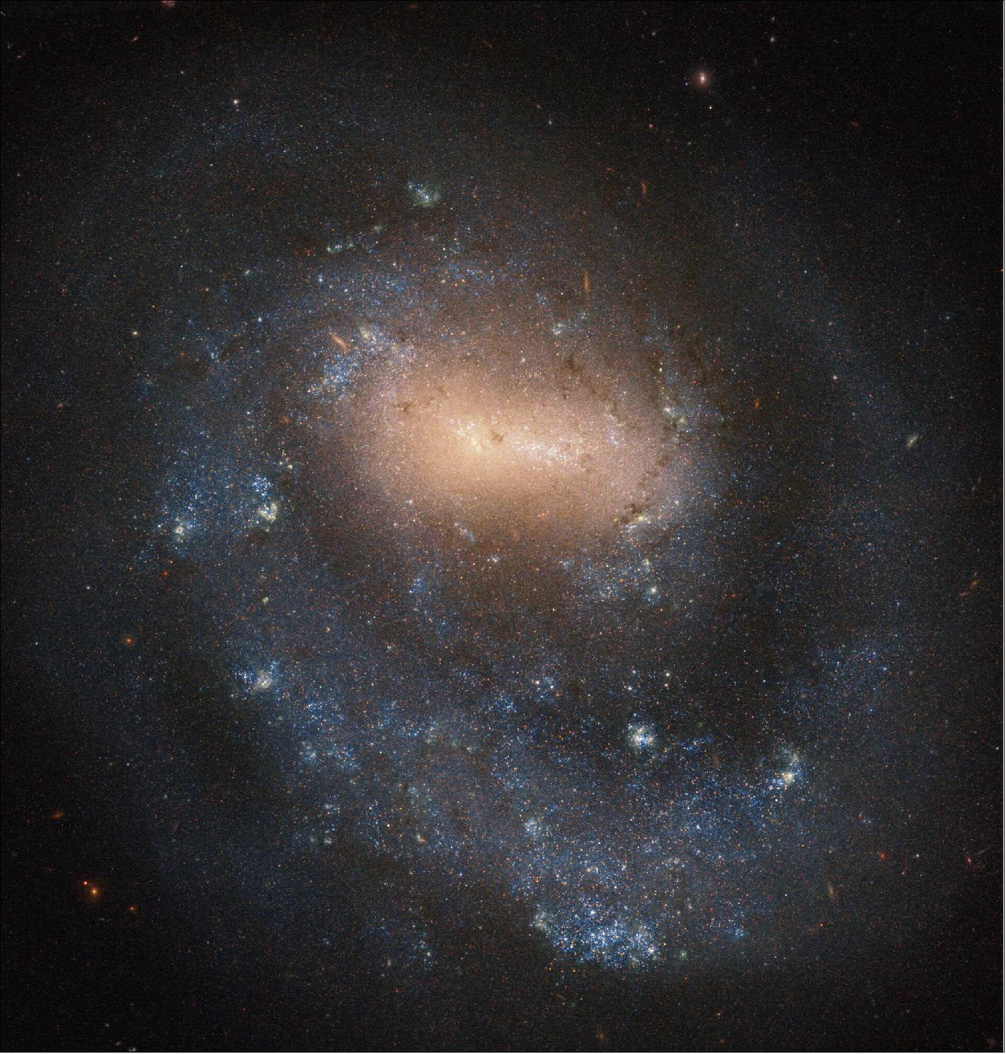 Figure 83: Located about 21 million light-years from our galaxy in the constellation Canes Venatici, NGC 4618 has a diameter of about one third that of the Milky Way. Together with its neighbor, NGC 4625, it forms an interacting galaxy pair, which means that the two galaxies are close enough to influence each other gravitationally. These interactions may result in the two (or more) galaxies merging together to form a new formation, such as a ring galaxy (image credit: ESA/Hubble & NASA, I. Karachentsev; CC BY 4.0)