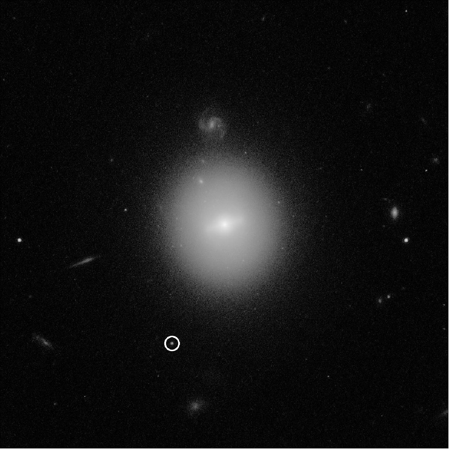 Figure 81: This Hubble Space Telescope image identified the location of an intermediate-mass black hole, weighing 50,000 times the mass of our Sun (making it much smaller than supermassive black holes found in the centers of galaxies). The black hole, named 3XMM J215022.4-055108, is indicated by the white circle. The elusive type of black hole was first identified in a burst of telltale X-rays emitted by hot gas from a star as it was captured and destroyed by the black hole. Hubble was needed to pinpoint the black hole's location in visible light. Hubble's deep, high-resolution imaging shows that the black hole resides inside a dense cluster of stars that is far beyond our Milky Way galaxy. The star cluster is in the vicinity of the galaxy at the center of the image. Much smaller-looking background galaxies appear sprinkled around the image, including a face-on spiral just above the central foreground galaxy. This photo was taken with Hubble's Advanced Camera for Surveys [image credits: NASA, ESA and D. Lin (University of New Hampshire)]