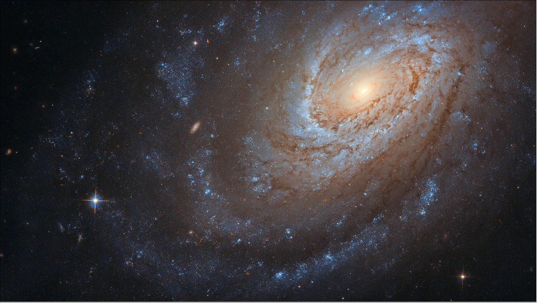 Figure 79: Although only a telescope like the NASA/ESA Hubble Space Telescope, which captured this image, could give us a picture this clear, NGC 4651 can also be observed with an amateur telescope — so if you have a telescope at home and a star-gazing eye, look out for this glittering carnivorous spiral (image credit: ESA/Hubble & NASA, D. Leonard; CC BY 4.0)